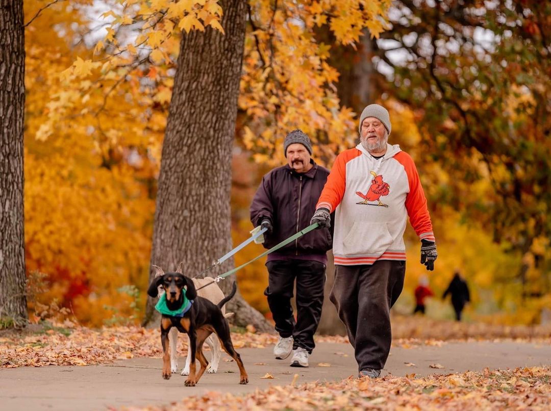 Beautiful @cardioforcanines on Saturday, captured by @madisonreneephoto 🍁🍂