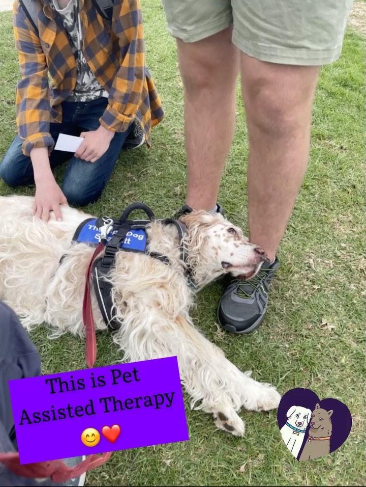 The RCHS Pet Assisted Therapy team went to @sda_mustangs for Canine Unwind today ❤️🐾 We had so much fun!

<a target='_blank' href='https://www.instagram.com/explore/tags/petassistedtherapy/'>#petassistedtherapy</a> <a target='_blank' href='https://www.instagram.com/explore/tags/therapydogs/'>#therapydogs</a>