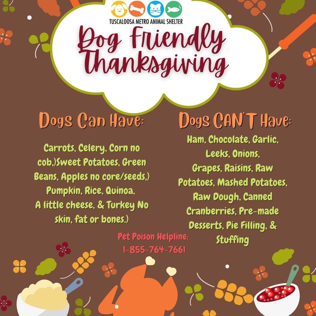 With Thanksgiving coming up, make sure your fur babies are eating what's good for them 🧡🐾

<a target='_blank' href='https://www.instagram.com/explore/tags/Thanksgiving/'>#Thanksgiving</a> <a target='_blank' href='https://www.instagram.com/explore/tags/HealthyFoods/'>#HealthyFoods</a>  <a target='_blank' href='https://www.instagram.com/explore/tags/rescuedismyfavoritebreed/'>#rescuedismyfavoritebreed</a> <a target='_blank' href='https://www.instagram.com/explore/tags/WeAreAVillage/'>#WeAreAVillage</a> <a target='_blank' href='https://www.instagram.com/explore/tags/TMAS/'>#TMAS</a> <a target='_blank' href='https://www.instagram.com/explore/tags/TuscaloosaAnimalShelter/'>#TuscaloosaAnimalShelter</a> <a target='_blank' href='https://www.instagram.com/explore/tags/YouCanHelpToo/'>#YouCanHelpToo</a> <a target='_blank' href='https://www.instagram.com/explore/tags/CommunityLove/'>#CommunityLove</a> <a target='_blank' href='https://www.instagram.com/explore/tags/LifeChangingAnimals/'>#LifeChangingAnimals</a> <a target='_blank' href='https://www.instagram.com/explore/tags/WeAreTheVillage/'>#WeAreTheVillage</a> <a target='_blank' href='https://www.instagram.com/explore/tags/AdoptDontShop/'>#AdoptDontShop</a>