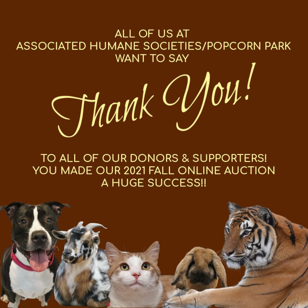 All of us at AHS/Popcorn Park want to thank all of you who donated to and participated in our Fall Online Gift Auction!  Thanks to all of you, over $14,000 was raised that will greatly benefit the many animals cared for by our three animal care centers in Forked River, Newark and Tinton Falls, and Popcorn Park Animal Refuge.  So many businesses, big and small, were so generous and we'd like to thank:

@adventureaquarium
@americanabytheseashorelbi 
Blake's Bowls
@catitdesignproducts
@climbzonehowell
@eastcoastescaperoom
@fantasyislandlbi
Jack Baker's Restaurants
Jagermeister
@picaboophotobooks
@theriverqueenboat
@thegrenville_nj
@sfgradventure
The Great American Lobster Roll
Theresa Artigas Portrait Artist
@thisisyoganj
@wallyslbi
Your Guitar Sage

Thank you to the countless individuals that donated so many fabulous prizes too!  People like Dorene Szeker and Donna Mitchell, who donate carloads of gifts, and so many others, are appreciated more than they know.  And of course, thank you to the more than 400 people that participated in the auction.  We couldn't do what we do for animals in need without the support of good people like all of you! 

We're excited to announce that next year, we're going back to our in-person grand shindig-style auction like we've held for over 40 years, so keep a lookout for more on that after the new year begins.  Thanks again!
<a target='_blank' href='https://www.instagram.com/explore/tags/thankyou/'>#thankyou</a> <a target='_blank' href='https://www.instagram.com/explore/tags/grateful/'>#grateful</a> <a target='_blank' href='https://www.instagram.com/explore/tags/goodpeople/'>#goodpeople</a> <a target='_blank' href='https://www.instagram.com/explore/tags/givingback/'>#givingback</a> <a target='_blank' href='https://www.instagram.com/explore/tags/helpinganimals/'>#helpinganimals</a> <a target='_blank' href='https://www.instagram.com/explore/tags/animalrescue/'>#animalrescue</a> <a target='_blank' href='https://www.instagram.com/explore/tags/animalwelfare/'>#animalwelfare</a> <a target='_blank' href='https://www.instagram.com/explore/tags/auction/'>#auction</a> <a target='_blank' href='https://www.instagram.com/explore/tags/thanks/'>#thanks</a>
