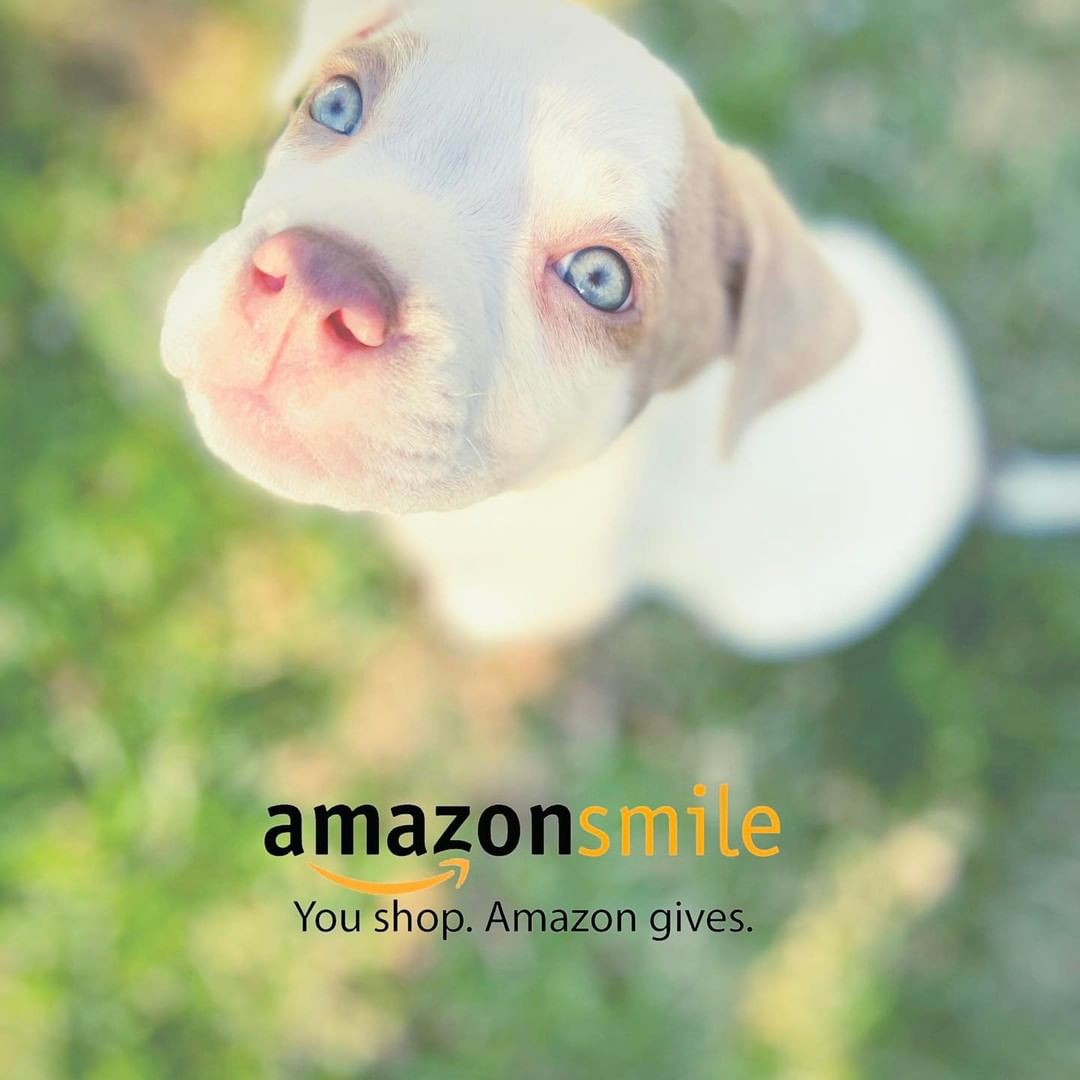 Shopping more on Amazon for the holidays? We have a fantastic and easy way for you to support the homeless animals at MARQ… at no extra cost to you!

Simply select 