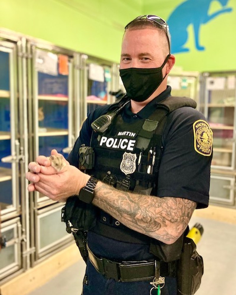 Time for another Norfolks <a target='_blank' href='https://www.instagram.com/explore/tags/finestandfurriest/'>#finestandfurriest</a> with the @norfolkpd ! The animals are always so thrilled to hang out with some new faces while they wait for their adoption day. Thanks to all of the Officers and Corporal for coming to spend time with our animals. Interested in coming by to view the adoptable animals also? Pop over to our website where you can make an appointment during the week, or on weekends no appointments needed. All of our adoptable animals can also be viewed online! www.norfolk.gov/NACC 

Picture 1: Officer Tako & Happy the senior cat. 
Picture 2: Officers Tako & Martin with 2 adopted kittens. 
Picture 3: Officer Martin with Boss the hamster. 
Picture 4: Officer Taylor & Moth Man. 
Picture 5: Officer Irizarry & Lola (adopted)
Picture 6: Officer Tako & CJ (transferred to another rescue)
Picture 7: Officer Irizarry & Rebound (adopted)
Picture 8: Corporal Valdez & Watson (adopted)
Picture 9: Officer Martin & Teddy (adopted)
Picture 10: Officers Tako & Martin with Jackalope. 

<a target='_blank' href='https://www.instagram.com/explore/tags/adoptnacc/'>#adoptnacc</a> <a target='_blank' href='https://www.instagram.com/explore/tags/fosternacc/'>#fosternacc</a> 
☎️ 757-441-5505
📧 nacc@norfolk.gov
📍 5585 Sabre Road Norfolk, Virginia 23502