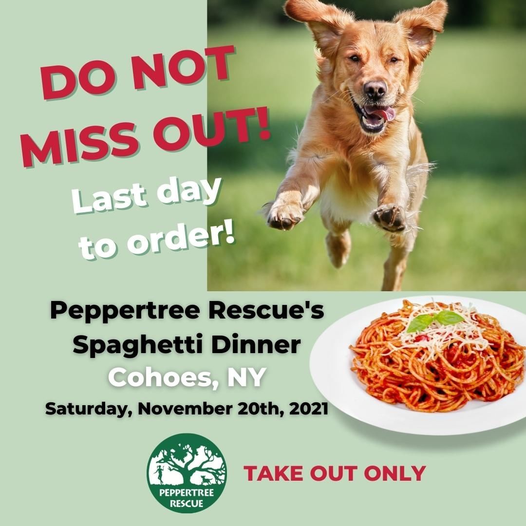 HURRY!

Orders close today (Thursday, November 18th) for our Spaghetti Dinner and you do not want to miss out on 

This is our 15th year, second year of take out only and we are so excited to be offering another year of amazing food! 

Time slots are limited and orders close today so visit https://peppertree-rescue2021.square.site/ now to place your order. 

What are we serving?  We have a vegan option, a delicious plate of pasta with red wine flavored marinara.  Or you can order the traditional dinner with two homemade meatballs and one piece of sausage.  And if rumors of just how delicious Chef Joe's meatballs are have reached your ears do not worry - you can order a dozen meatballs to go! 

Dinners include bread, salad and dessert.
 
More details are on the website at Peppertree.org!

<a target='_blank' href='https://www.instagram.com/explore/tags/cohoesny/'>#cohoesny</a> <a target='_blank' href='https://www.instagram.com/explore/tags/capitalregionnyfood/'>#capitalregionnyfood</a>
<a target='_blank' href='https://www.instagram.com/explore/tags/capitalregionny/'>#capitalregionny</a>
<a target='_blank' href='https://www.instagram.com/explore/tags/518food/'>#518food</a> <a target='_blank' href='https://www.instagram.com/explore/tags/peppertreerescue/'>#peppertreerescue</a>