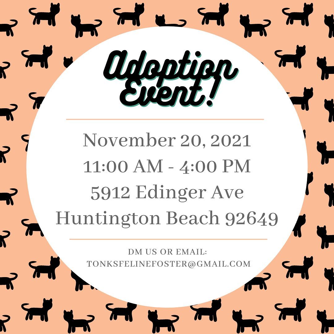 We made it halfway through the week and ONE DAY closer to meeting your new best friend! 😍 That’s right - we’re having an adoption day this Saturday (aka Caturday) and we couldn’t be more excited about it! Come by and see us at Pet Supplies Plus in Huntington Beach (5912 Edinger Ave) from 11 AM - 4 PM. ❤️🙏

If you are in the area, and are looking to open your heart and home, please come by and see us and meet all these precious babes looking for their furever homes ❤️ even if you aren’t able to adopt at the moment please share this post or consider fostering! We appreciate you all 💕

<a target='_blank' href='https://www.instagram.com/explore/tags/catlife/'>#catlife</a> <a target='_blank' href='https://www.instagram.com/explore/tags/catprobs/'>#catprobs</a> <a target='_blank' href='https://www.instagram.com/explore/tags/rescuecat/'>#rescuecat</a> <a target='_blank' href='https://www.instagram.com/explore/tags/rescuecatsrule/'>#rescuecatsrule</a> <a target='_blank' href='https://www.instagram.com/explore/tags/rescuecatsrock/'>#rescuecatsrock</a> <a target='_blank' href='https://www.instagram.com/explore/tags/chat/'>#chat</a> <a target='_blank' href='https://www.instagram.com/explore/tags/katze/'>#katze</a> <a target='_blank' href='https://www.instagram.com/explore/tags/neko/'>#neko</a> <a target='_blank' href='https://www.instagram.com/explore/tags/rescuedandloved/'>#rescuedandloved</a> <a target='_blank' href='https://www.instagram.com/explore/tags/adoptdontshop/'>#adoptdontshop</a> <a target='_blank' href='https://www.instagram.com/explore/tags/catstagram/'>#catstagram</a> <a target='_blank' href='https://www.instagram.com/explore/tags/catsofinstagram/'>#catsofinstagram</a> <a target='_blank' href='https://www.instagram.com/explore/tags/instacat/'>#instacat</a> <a target='_blank' href='https://www.instagram.com/explore/tags/coolcats/'>#coolcats</a> <a target='_blank' href='https://www.instagram.com/explore/tags/tonksfelinefoster/'>#tonksfelinefoster</a> <a target='_blank' href='https://www.instagram.com/explore/tags/gardengrove/'>#gardengrove</a> <a target='_blank' href='https://www.instagram.com/explore/tags/orangecounty/'>#orangecounty</a> <a target='_blank' href='https://www.instagram.com/explore/tags/lacounty/'>#lacounty</a> <a target='_blank' href='https://www.instagram.com/explore/tags/rescueanimals/'>#rescueanimals</a>