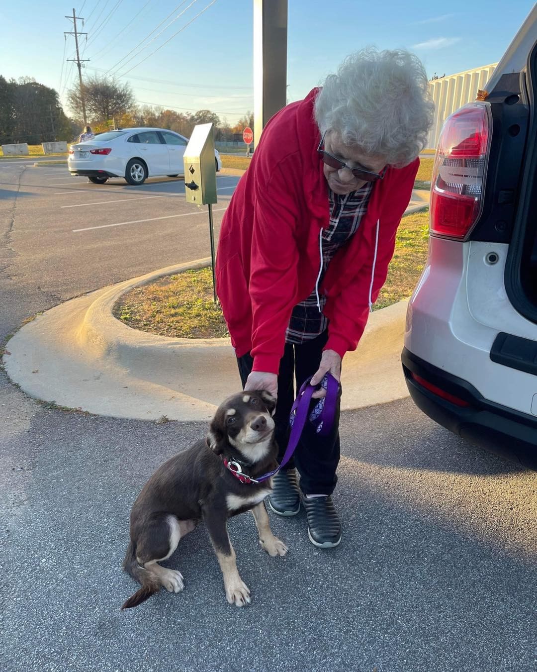 Here they come, Massachusetts! 🚐 

2️⃣6️⃣ animals are officially on their way to new beginnings. We are so grateful to the fosters, volunteers, and our wonderful transporter for making this happen. 💖 We could not do this without them! 

But wait! 🛑 We still have several animals who have yet to find their forever homes. Head to www.browndogcoalition.com to see who’s still waiting. ⏰