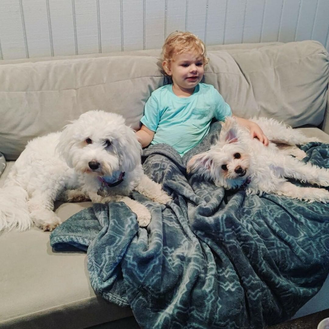 Erin is happy to watch TV with her 2 favorite FurKids, Lucy (formerly “Gracie” adopted from Bichon FurKids April 2021) and Maggie. What a cute picture they make!

Do you have an update to share about your Bichon FurKids pup? Message us your details and photos! (Or email natalie@bichonfurkids.org)

<a target='_blank' href='https://www.instagram.com/explore/tags/bichonfrise/'>#bichonfrise</a> <a target='_blank' href='https://www.instagram.com/explore/tags/bfkgracie/'>#bfkgracie</a> <a target='_blank' href='https://www.instagram.com/explore/tags/adoptedandadored/'>#adoptedandadored</a>
