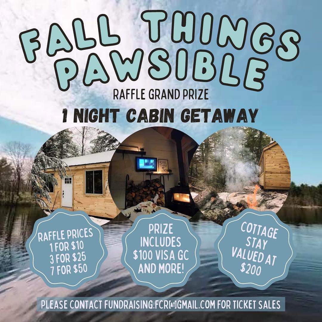 THIS IS YOUR LAST WEEK TO PURCHASE YOUR RAFFLE TICKETS!🐾😃

All the proceeds from this raffle will go directly towards the well-being and medical costs of the dogs in our care!🐾❤️

🐾 GRAND PRIZE RAFFLE 🐾 

Out in the Woods Getaway 🏕 

Includes: 
🐕 1 overnight FREE glamping stay in a cabin for up to 4 people - private lake access
🐕 3 Bottles of wine 
🐕 Small handcrafted Charcuterie board
🐕 $100 VISA Gift Card
🐕 $100 LCBO Gift Card

*Please email fundraising.fcr@gmail.com with your first, last name, best contact number and how many tickets you would like to purchase. We will reply with instructions for payment. Winner will be announced November 23rd. 

<a target='_blank' href='https://www.instagram.com/explore/tags/fullcirclerescue/'>#fullcirclerescue</a> <a target='_blank' href='https://www.instagram.com/explore/tags/ontariodogrescue/'>#ontariodogrescue</a> <a target='_blank' href='https://www.instagram.com/explore/tags/adoptdontshop/'>#adoptdontshop</a> <a target='_blank' href='https://www.instagram.com/explore/tags/torontodogs/'>#torontodogs</a> <a target='_blank' href='https://www.instagram.com/explore/tags/hamiltondogs/'>#hamiltondogs</a> <a target='_blank' href='https://www.instagram.com/explore/tags/dogsofcanada/'>#dogsofcanada</a> <a target='_blank' href='https://www.instagram.com/explore/tags/doggo/'>#doggo</a> <a target='_blank' href='https://www.instagram.com/explore/tags/dogsofinsta/'>#dogsofinsta</a> <a target='_blank' href='https://www.instagram.com/explore/tags/doglovers/'>#doglovers</a> <a target='_blank' href='https://www.instagram.com/explore/tags/dogsloversofinstagram/'>#dogsloversofinstagram</a> <a target='_blank' href='https://www.instagram.com/explore/tags/dogsofinstagram/'>#dogsofinstagram</a> <a target='_blank' href='https://www.instagram.com/explore/tags/dogsofinstaworld/'>#dogsofinstaworld</a> <a target='_blank' href='https://www.instagram.com/explore/tags/GTA/'>#GTA</a> <a target='_blank' href='https://www.instagram.com/explore/tags/GTHA/'>#GTHA</a> <a target='_blank' href='https://www.instagram.com/explore/tags/dogrescue/'>#dogrescue</a> <a target='_blank' href='https://www.instagram.com/explore/tags/dogrescuepeople/'>#dogrescuepeople</a> <a target='_blank' href='https://www.instagram.com/explore/tags/dogrescuers/'>#dogrescuers</a> <a target='_blank' href='https://www.instagram.com/explore/tags/raffle/'>#raffle</a> <a target='_blank' href='https://www.instagram.com/explore/tags/fundraising/'>#fundraising</a> <a target='_blank' href='https://www.instagram.com/explore/tags/adoptabledogsofinstagram/'>#adoptabledogsofinstagram</a> <a target='_blank' href='https://www.instagram.com/explore/tags/weareFCR/'>#weareFCR</a> <a target='_blank' href='https://www.instagram.com/explore/tags/anythingispawsible/'>#anythingispawsible</a>