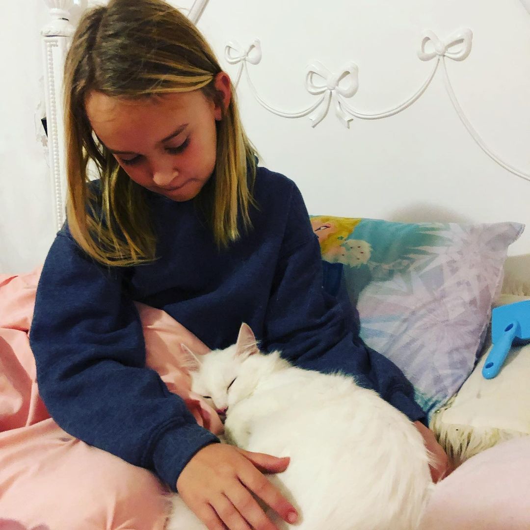 Congratulations 🎉 Snowflake! This sweet girl got adopted and is happily settling in to her new home. We couldn’t be happier for this sweet girl. 😻 <a target='_blank' href='https://www.instagram.com/explore/tags/adoptdontshop/'>#adoptdontshop</a> <a target='_blank' href='https://www.instagram.com/explore/tags/adoption/'>#adoption</a> <a target='_blank' href='https://www.instagram.com/explore/tags/spayandneuter/'>#spayandneuter</a> <a target='_blank' href='https://www.instagram.com/explore/tags/rescuecat/'>#rescuecat</a>