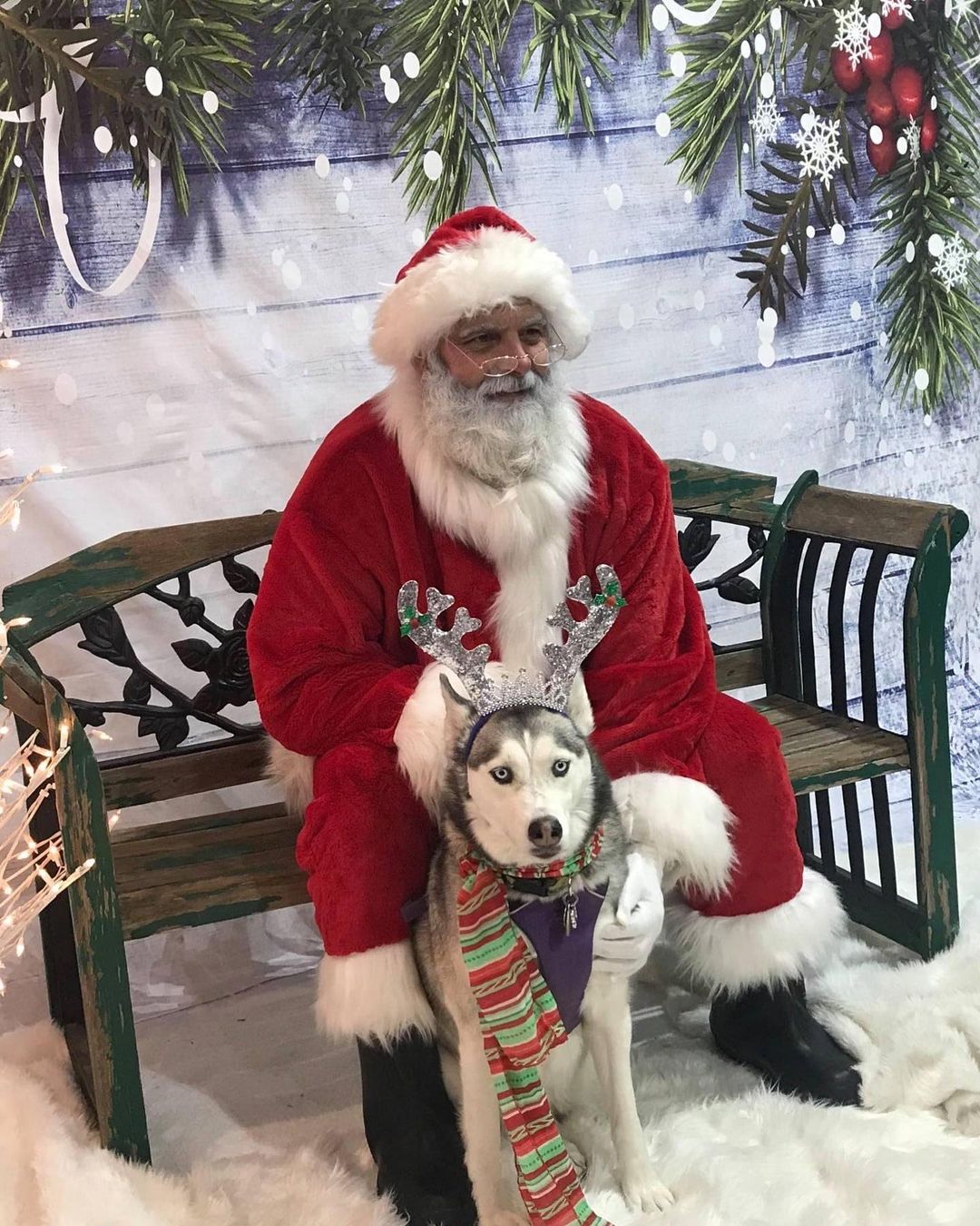 A busy Santa is a Happy Santa...according to Mrs. Claus!  Stop by to help out and feel free to bring your pups and family for your holiday photos!! 

So all you Denver and NoCo folks, here's Santa's Schedule:

**November 27th:**

  10AM-1230PM: The Dog Pawlour in Greeley 3616 W 10th St, Greeley, CO 

  300PM-530PM: Finkel and Garf Boulder: 5455 Spine Road, Boulder CO

**November 28th**: 1200PM-300PM - Chuck and Don's Greenwood Village CO: 5926 S Holly St 

**December 4th: **10AM-1PM Columbine Federal Credit Union 4902 E Dry Creek Rd

**December 5th: ** 100PM-400PM Wag N Wash Aurora - 15405 E Briarwood Cir

**December 11th: **12PM-4PM Lone Tree Brewing Company - 8200 Park Meadows Dr

**December 12th**: 12PM-4PM Lone Tree Brewing Company - 8200 Park Meadows Dr.