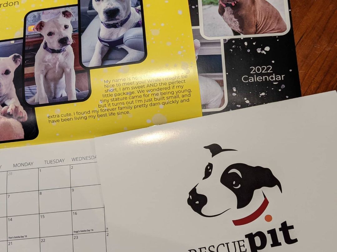 Have you snagged a <a target='_blank' href='https://www.instagram.com/explore/tags/RescuePit/'>#RescuePit</a> 2022 Calendar yet? Use code FREESHIP for free shipping at checkout! 
<a target='_blank' href='https://www.instagram.com/explore/tags/LinkInComments/'>#LinkInComments</a> <a target='_blank' href='https://www.instagram.com/explore/tags/AdoptDontShop/'>#AdoptDontShop</a> <a target='_blank' href='https://www.instagram.com/explore/tags/SupportYourLocalRescue/'>#SupportYourLocalRescue</a>