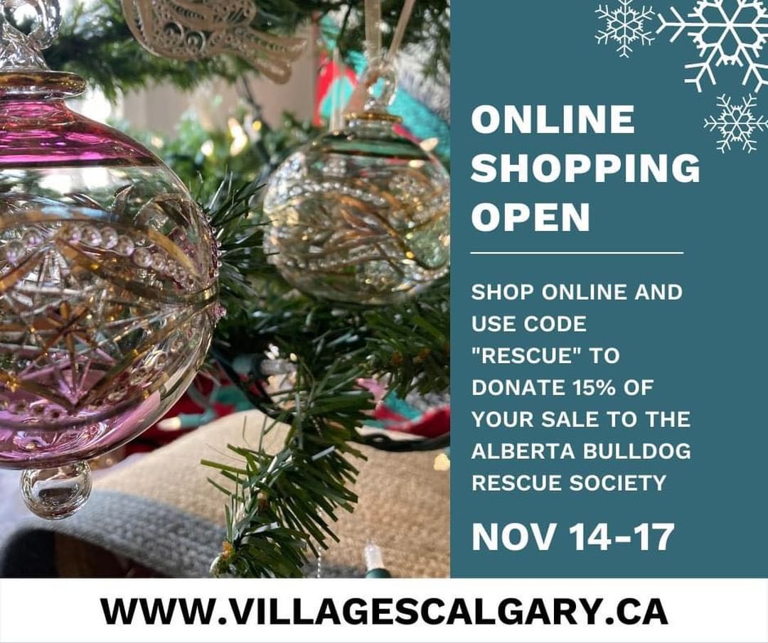 📣📣LAST DAY TO SHOP!! 📣📣

Check out the goodies at Villages Calgary online and make sure to Use our promo code 