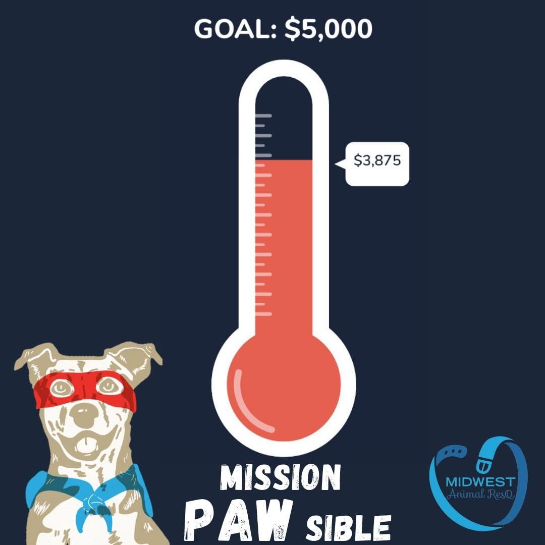 Wow! What a difference 1 day and a few post shares can make!

“Mission PAWsible” Matching Campaign UPDATE! 

We have raised $3,875 so far!

ALL donations made will be MATCHED up to $5,000!! Can you help us fill our thermometer!?

Thank you to all who have donated so far!

Please SHARE with those who would like to make a huge impact!

www.donate.midwestanimalresq.org