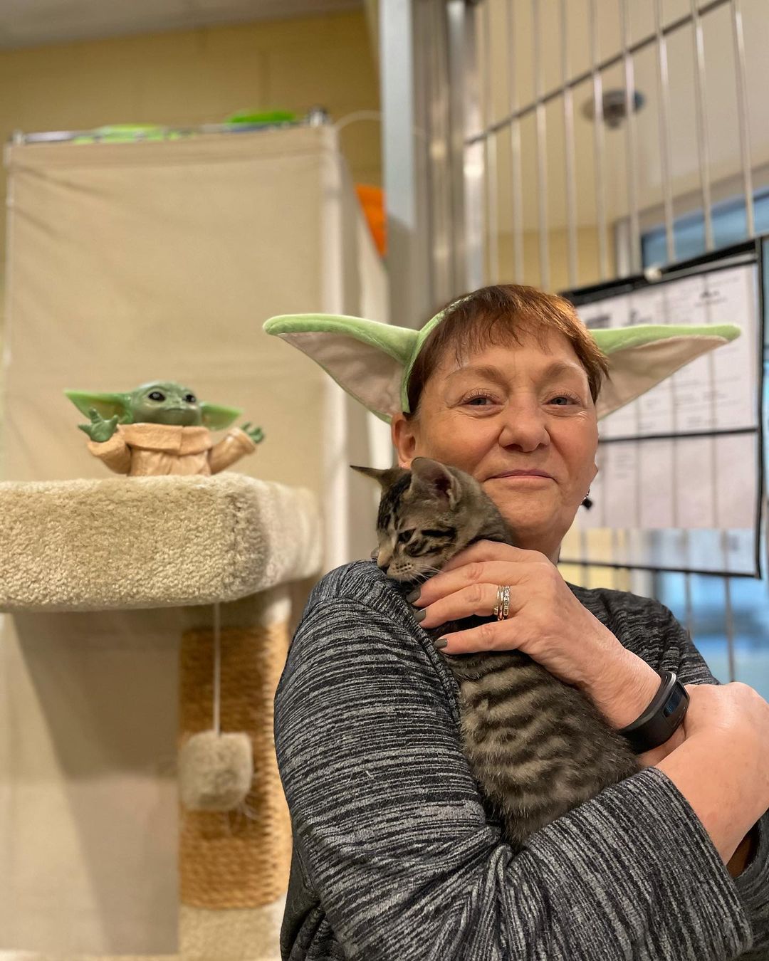 The force is strong with our furry younglings ✨

Kitten season never really let up here at Pet Helpers. We’re still seeing tiny paws coming into our shelter from all across the galaxy each day. With winter approaching, adoptions are needed more than ever so we can continue to bring in homeless fur babies away from the increasingly harsh conditions outside. ❄️

We’re open for walk-in adoptions this week from 12-6; stop by and meet kittens so cute they put Baby Yoda to shame 💚

We are in desperate need of dry cat food to maintain our community food bank and cat colonies we administer to. You can save lives without adopting by donating dry cat food either in person during shelter hours or by following the link in our bio to donate through our @chewy wishlist 💙