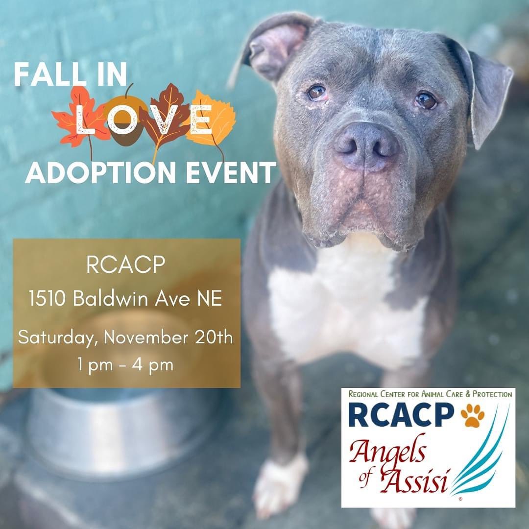 Join us at the Regional Center for Animal Care & Protection this Saturday, November 20th from 1pm - 4pm for our Pop Up Fall in Love Adoption Event. We will have a ton of incredible dogs available for adoption. We can't wait to see you there!