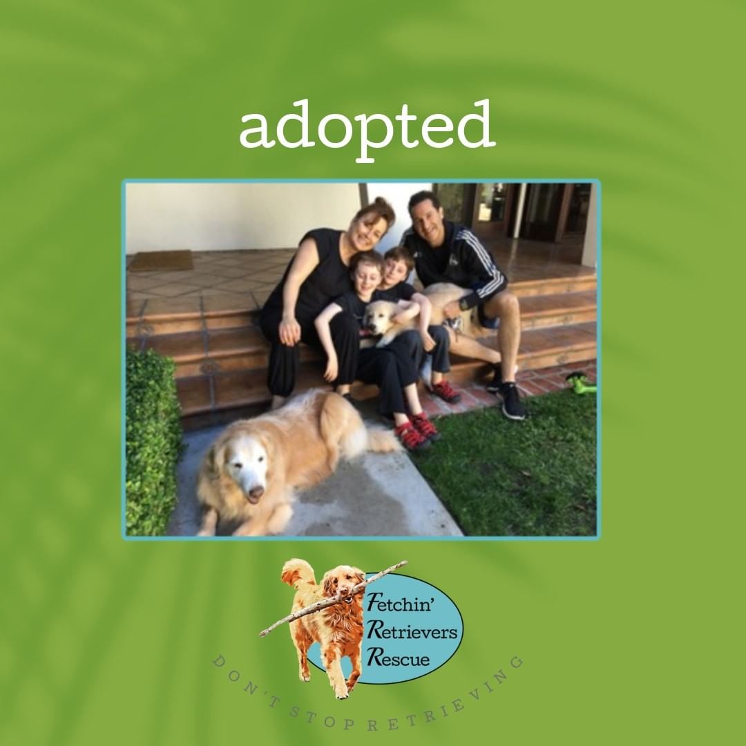 Fry has been adopted!  He is one of the four 
