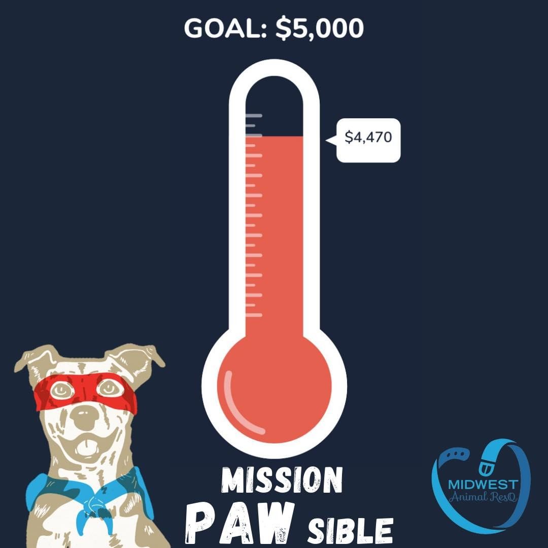 $4470!!

WOW! We have some amazing supporters who have graciously donated to our “Mission PAWsible” Matching Campaign! 

ALL donations made will be MATCHED up to $5,000!! Can we hit $5,000 by the end of the weekend!?

Thank you to all who have donated so far!

Please SHARE with those who would like to make a huge impact!

www.donate.midwestanimalresq.org