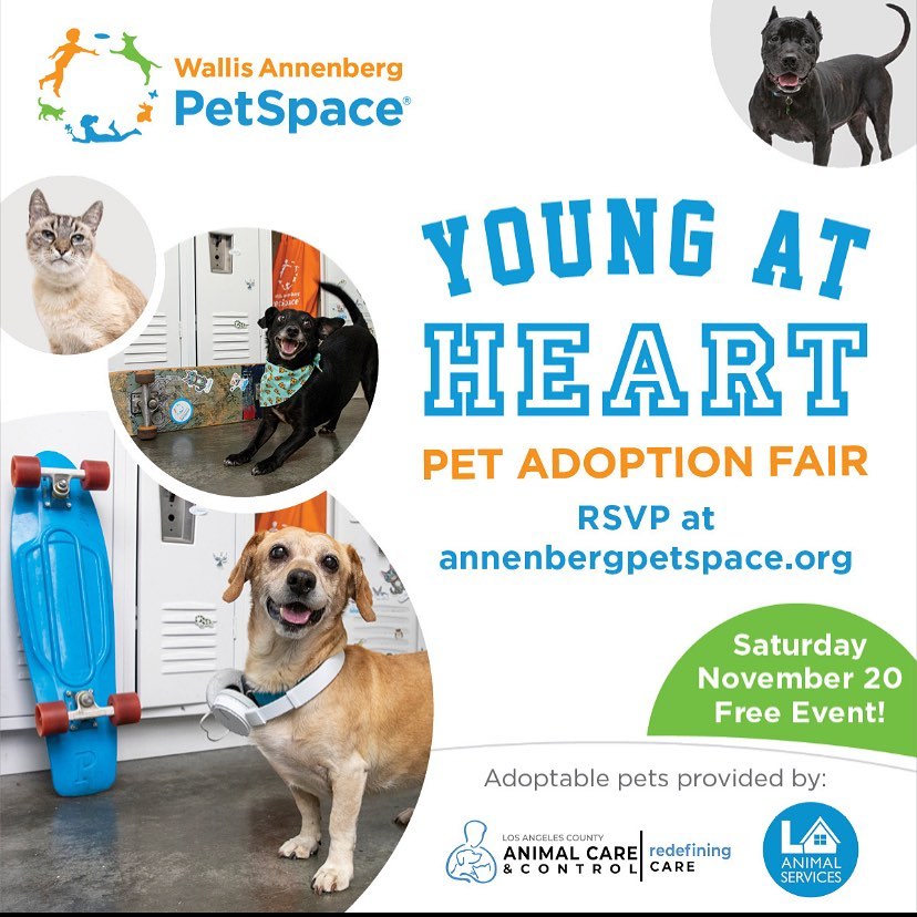 Some of our sweet senior dogs and dedicated volunteers will be ‘Young at Heart’ with our friends @annenbergpetspace tomorrow from 11-3. Hope to see you there! <a target='_blank' href='https://www.instagram.com/explore/tags/adoptdontshop/'>#adoptdontshop</a> <a target='_blank' href='https://www.instagram.com/explore/tags/seniordogsofinstagram/'>#seniordogsofinstagram</a> <a target='_blank' href='https://www.instagram.com/explore/tags/seniordog/'>#seniordog</a> link in bio!