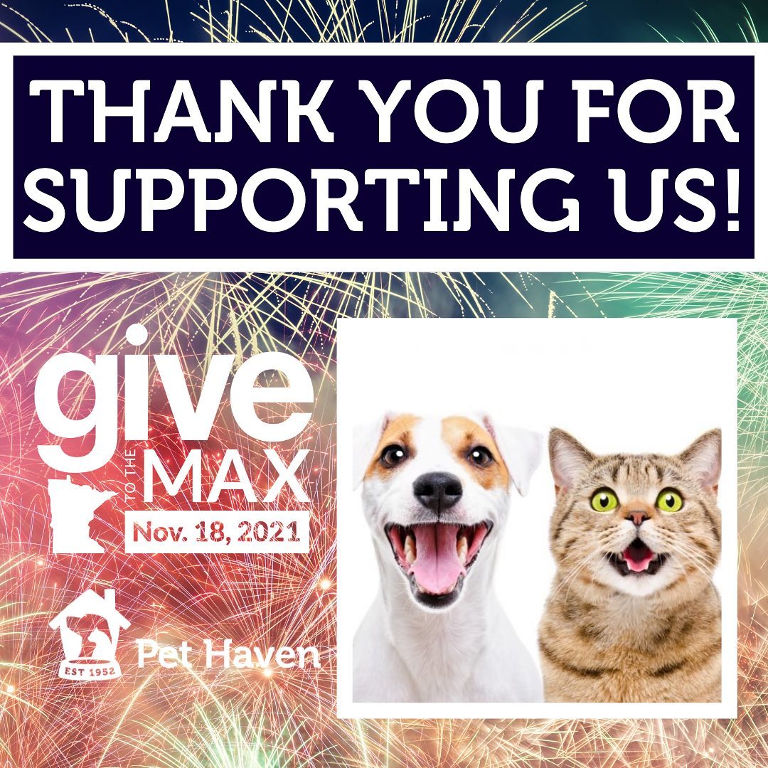 Thanks to everyone who donated to our Give to the Max fundraiser, we SURPASSED our goal! 

We raised $25,131 on our Give to the Max page and received donations directly to our website totaling around $15,000 as well!

We are in awe!

This year’s Give to the Max Day was truly magical for us as we watched so many give, share, and support our mission.

This would not be possible without you! Thank you! Thank you! Thank you!