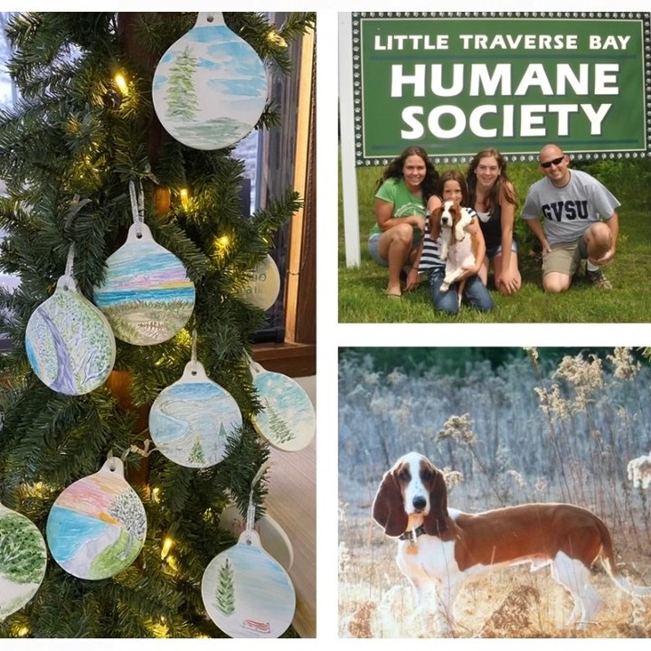 We are so grateful to have a caring business community!  119 Studio is donating $5 of each of their hand painted Christmas ornaments to LTBHS this season.  They are hosting the fundraiser in memory of their beloved basset hound, Cooper, who they lost to cancer in 2017.  Cooper was adopted from LTBHS when he was just a puppy. 

Be sure to check out 119 Studio located 690 State St Harbor Springs.  We are thankful for their support this holiday season!