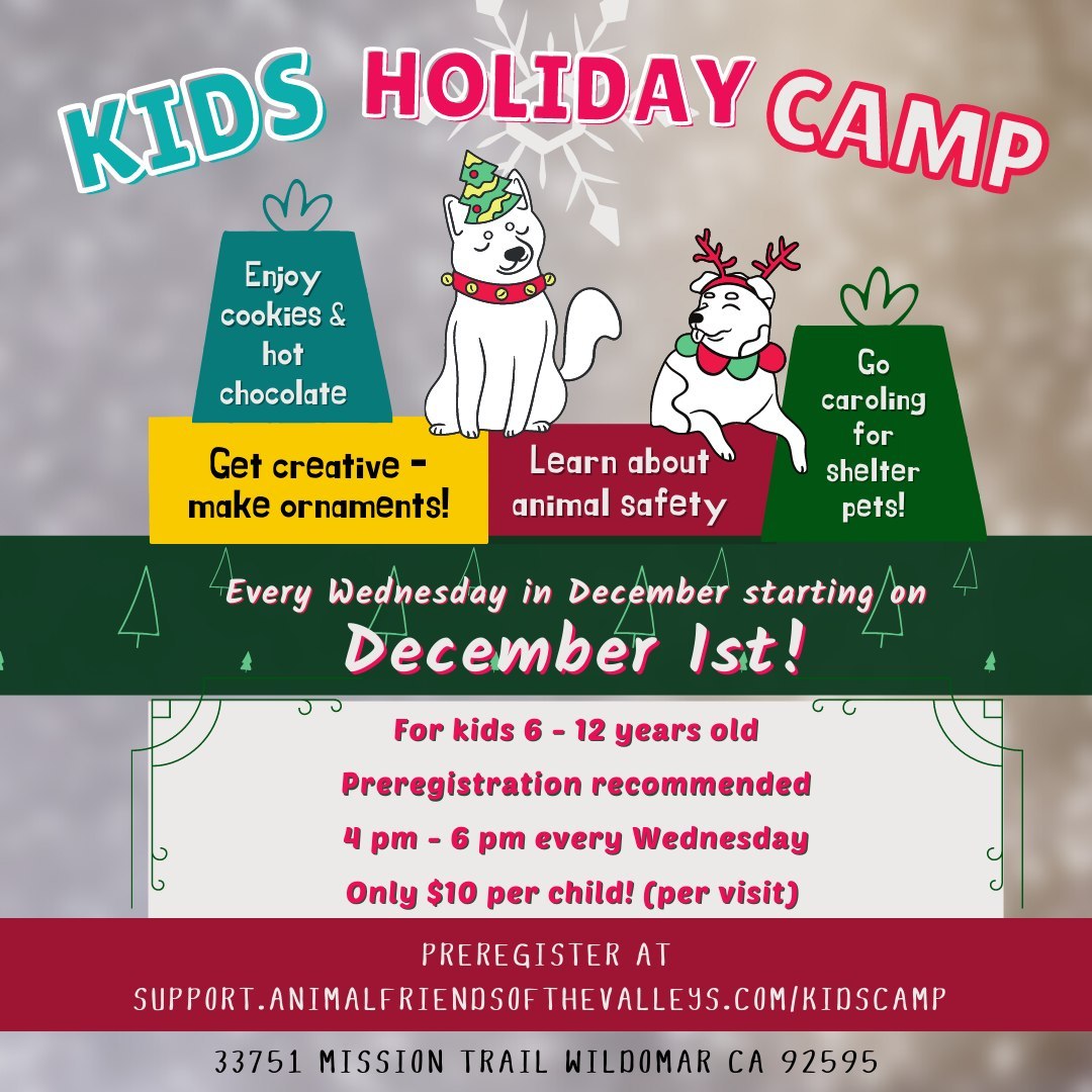 The most wonderful time of year is fast approaching again. Want an easy way for your kids to get into the holiday spirit ASAP? Join our Kids Holiday Camp here at Animal Friends of the Valleys! Every Wednesday in December starting on the 1st, we’ll make ornaments, learn about animal safety, enjoy hot chocolate and cookies, and of course, go caroling for our shelter pets! Preregister at support.animalfriendsofthevalleys.com/kidscamp. <a target='_blank' href='https://www.instagram.com/explore/tags/animalfriendsofthevalleys/'>#animalfriendsofthevalleys</a> <a target='_blank' href='https://www.instagram.com/explore/tags/donationsplease/'>#donationsplease</a> <a target='_blank' href='https://www.instagram.com/explore/tags/adoptdontshop/'>#adoptdontshop</a> <a target='_blank' href='https://www.instagram.com/explore/tags/helpyourlocalshelter/'>#helpyourlocalshelter</a> <a target='_blank' href='https://www.instagram.com/explore/tags/savetheanimals/'>#savetheanimals</a> <a target='_blank' href='https://www.instagram.com/explore/tags/catsanddogs/'>#catsanddogs</a> <a target='_blank' href='https://www.instagram.com/explore/tags/dogs/'>#dogs</a> <a target='_blank' href='https://www.instagram.com/explore/tags/cats/'>#cats</a> <a target='_blank' href='https://www.instagram.com/explore/tags/adoptions/'>#adoptions</a>