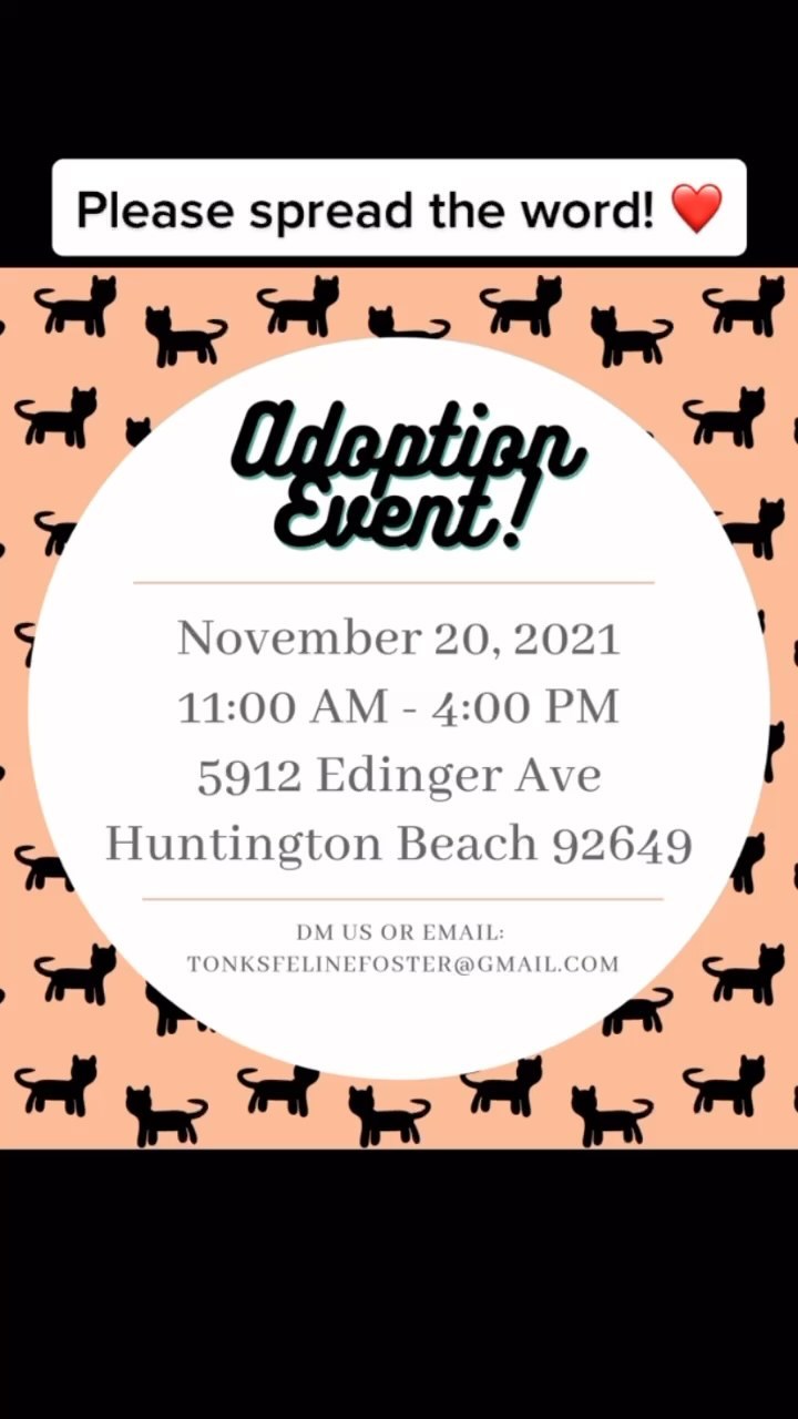 Good morning cat community! 💕 We’re having an adoption day this Saturday and we couldn’t be more excited about it! Come by and see us at Pet Supplies Plus in Huntington Beach (5912 Edinger Ave) from 11 AM - 4 PM. 

If you are in the area, and are looking to open your heart and home, please come by and see us and meet all these precious babes looking for their furever homes ❤️ even if you aren’t able to adopt at the moment please share this post or consider fostering! We appreciate you all 💕

<a target='_blank' href='https://www.instagram.com/explore/tags/catlife/'>#catlife</a> <a target='_blank' href='https://www.instagram.com/explore/tags/catprobs/'>#catprobs</a> <a target='_blank' href='https://www.instagram.com/explore/tags/rescuecat/'>#rescuecat</a> <a target='_blank' href='https://www.instagram.com/explore/tags/rescuecatsrule/'>#rescuecatsrule</a> <a target='_blank' href='https://www.instagram.com/explore/tags/rescuecatsrock/'>#rescuecatsrock</a> <a target='_blank' href='https://www.instagram.com/explore/tags/chat/'>#chat</a> <a target='_blank' href='https://www.instagram.com/explore/tags/katze/'>#katze</a> <a target='_blank' href='https://www.instagram.com/explore/tags/neko/'>#neko</a> <a target='_blank' href='https://www.instagram.com/explore/tags/rescuedandloved/'>#rescuedandloved</a> <a target='_blank' href='https://www.instagram.com/explore/tags/adoptdontshop/'>#adoptdontshop</a> <a target='_blank' href='https://www.instagram.com/explore/tags/catstagram/'>#catstagram</a> <a target='_blank' href='https://www.instagram.com/explore/tags/catsofinstagram/'>#catsofinstagram</a> <a target='_blank' href='https://www.instagram.com/explore/tags/instacat/'>#instacat</a> <a target='_blank' href='https://www.instagram.com/explore/tags/coolcats/'>#coolcats</a> <a target='_blank' href='https://www.instagram.com/explore/tags/tonksfelinefoster/'>#tonksfelinefoster</a> <a target='_blank' href='https://www.instagram.com/explore/tags/gardengrove/'>#gardengrove</a> <a target='_blank' href='https://www.instagram.com/explore/tags/orangecounty/'>#orangecounty</a> <a target='_blank' href='https://www.instagram.com/explore/tags/lacounty/'>#lacounty</a> <a target='_blank' href='https://www.instagram.com/explore/tags/rescueanimals/'>#rescueanimals</a>