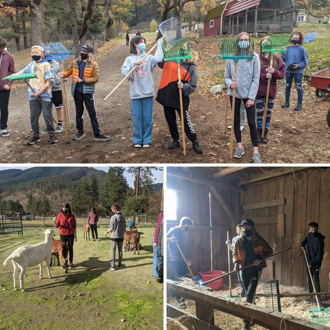 The Ashland Roots and Shoots program came to the care farm for a field trip. The students immediately bonded with the goats and Pippa. Not only are they a science class but they care about service to their community as well. As a part of their field trip they helped clean stalls, giving the animals clean places to sleep. 

Want to bring a class out for a field trip? Sign up on our website, click the link in out bio!

<a target='_blank' href='https://www.instagram.com/explore/tags/Sanctuary/'>#Sanctuary</a> <a target='_blank' href='https://www.instagram.com/explore/tags/CareFarm/'>#CareFarm</a> <a target='_blank' href='https://www.instagram.com/explore/tags/SanctuaryOne/'>#SanctuaryOne</a> <a target='_blank' href='https://www.instagram.com/explore/tags/FieldTrip/'>#FieldTrip</a> <a target='_blank' href='https://www.instagram.com/explore/tags/Animals/'>#Animals</a> <a target='_blank' href='https://www.instagram.com/explore/tags/Students/'>#Students</a> <a target='_blank' href='https://www.instagram.com/explore/tags/Goats/'>#Goats</a>