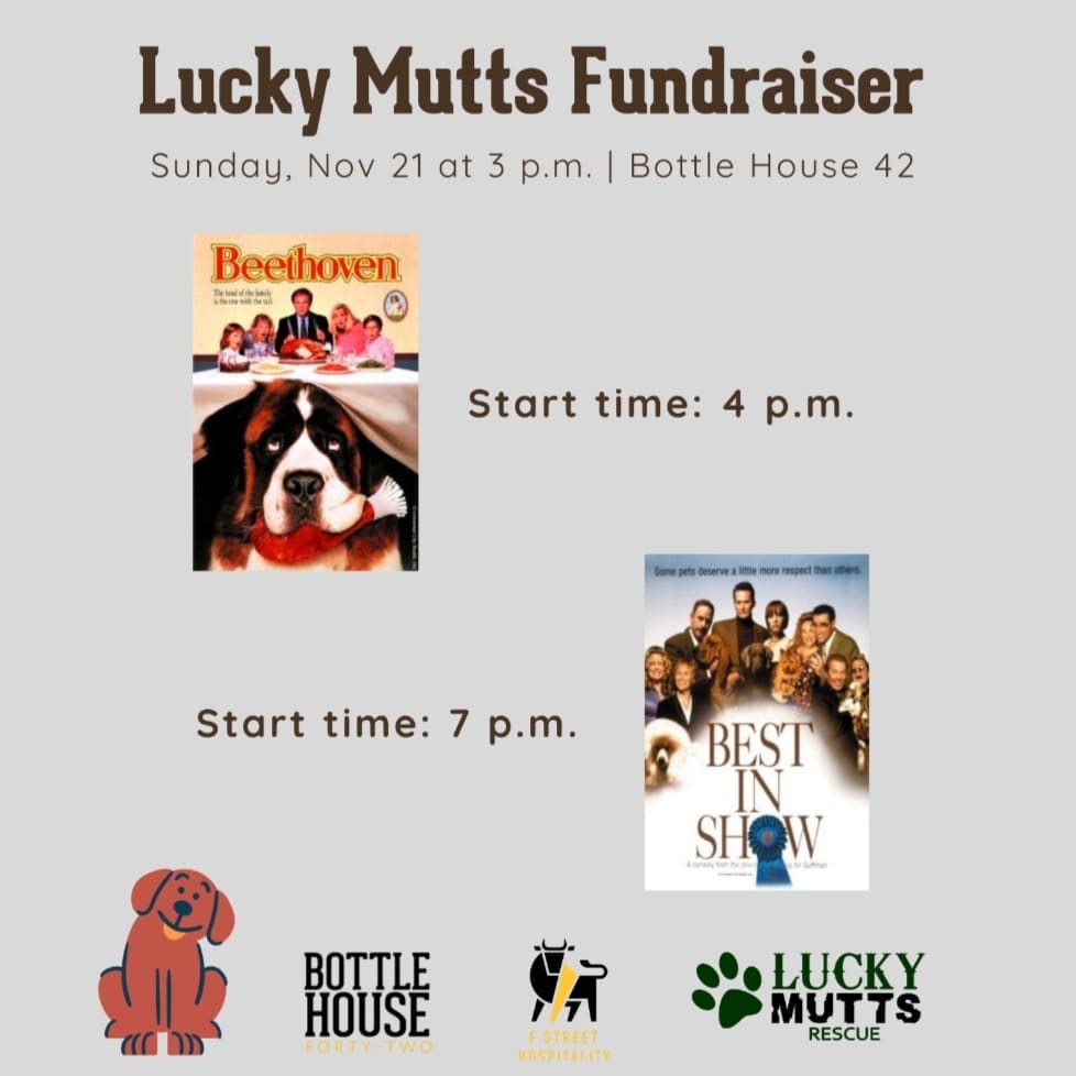 Join is TOMORROW at Bottle House 42 for a fun Sunday fundraiser!