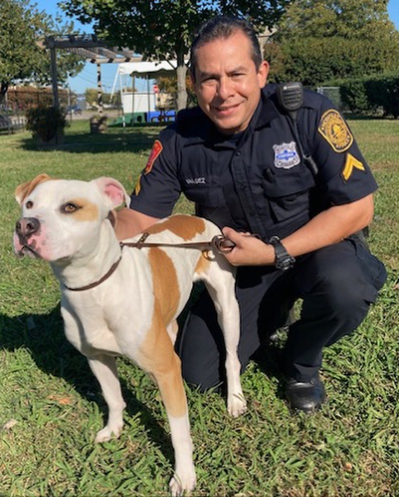 Time for another Norfolks <a target='_blank' href='https://www.instagram.com/explore/tags/finestandfurriest/'>#finestandfurriest</a> with the @norfolkpd ! The animals are always so thrilled to hang out with some new faces while they wait for their adoption day. Thanks to all of the Officers and Corporal for coming to spend time with our animals. Interested in coming by to view the adoptable animals also? Pop over to our website where you can make an appointment during the week, or on weekends no appointments needed. All of our adoptable animals can also be viewed online! www.norfolk.gov/NACC 

Picture 1: Officer Tako & Happy the senior cat. 
Picture 2: Officers Tako & Martin with 2 adopted kittens. 
Picture 3: Officer Martin with Boss the hamster. 
Picture 4: Officer Taylor & Moth Man. 
Picture 5: Officer Irizarry & Lola (adopted)
Picture 6: Officer Tako & CJ (transferred to another rescue)
Picture 7: Officer Irizarry & Rebound (adopted)
Picture 8: Corporal Valdez & Watson (adopted)
Picture 9: Officer Martin & Teddy (adopted)
Picture 10: Officers Tako & Martin with Jackalope. 

<a target='_blank' href='https://www.instagram.com/explore/tags/adoptnacc/'>#adoptnacc</a> <a target='_blank' href='https://www.instagram.com/explore/tags/fosternacc/'>#fosternacc</a> 
☎️ 757-441-5505
📧 nacc@norfolk.gov
📍 5585 Sabre Road Norfolk, Virginia 23502