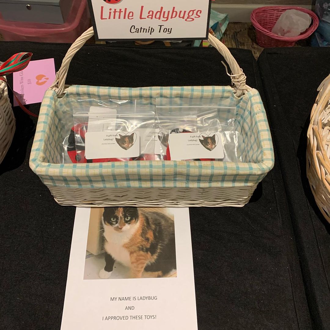 Our volunteers are so talented! 😻 The “stuff” tables for our auction tonight are stocked with some amazing cat toys and gifts! 🎁 Every penny earned goes to our rescue and in exchange you get some really cute items! Can’t go wrong with that, right?! 🎉