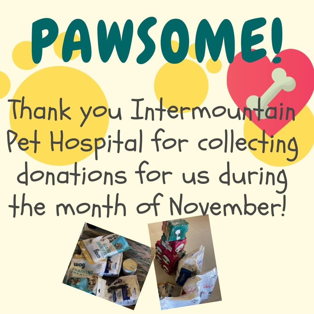 We are so grateful for our partners that always go above and beyond for us! Thank you @intermountainpet for hosting a food drive for us during October/November!
<a target='_blank' href='https://www.instagram.com/explore/tags/togetherwegive/'>#togetherwegive</a> <a target='_blank' href='https://www.instagram.com/explore/tags/givingtuesday/'>#givingtuesday</a>