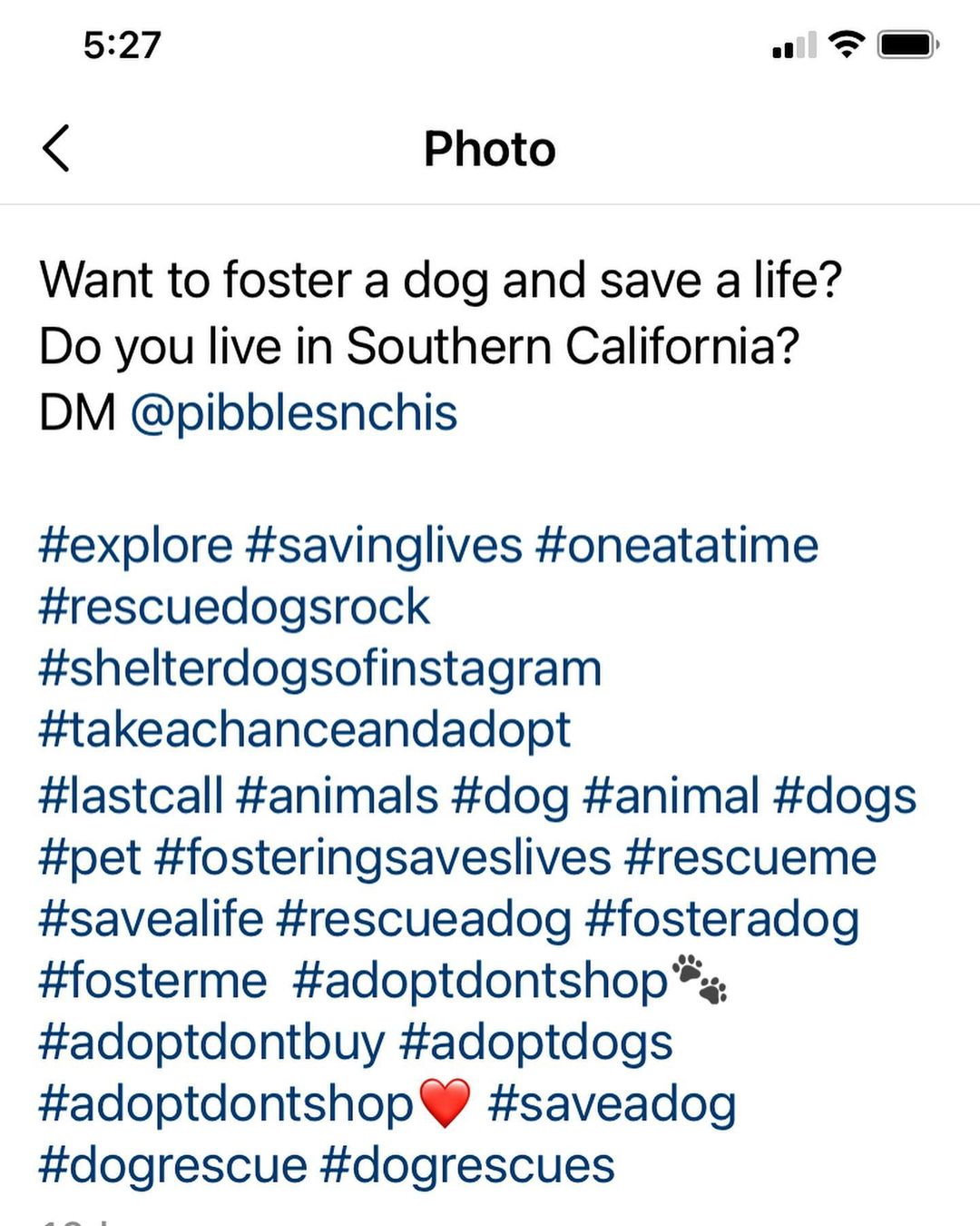 <a target='_blank' href='https://www.instagram.com/explore/tags/A1649618/'>#A1649618</a> Why is a puppy, a lab mix no less, in the Riverside killing shelter?  Really surprised, but it could be because she has only two social media posts. Let’s share Darla to help her get out. She apparently has a foxtail abscess which is easily treated.  Please share !