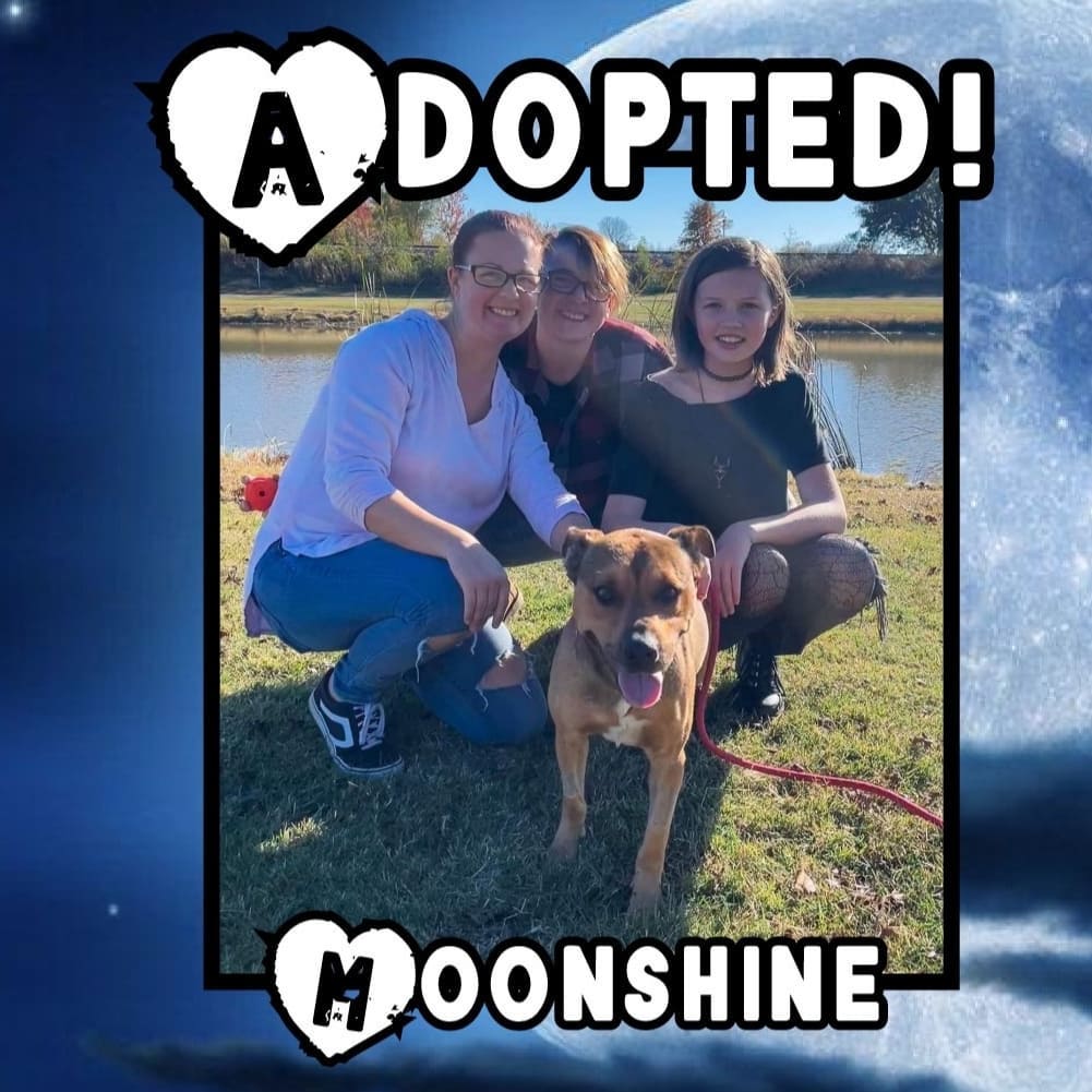 🥰HAPPY TAILS!🥰 Congrats to Moonshine and Frolic on finding their happily ever after's! 🥳
<a target='_blank' href='https://www.instagram.com/explore/tags/rescue/'>#rescue</a> <a target='_blank' href='https://www.instagram.com/explore/tags/dontshopadopt/'>#dontshopadopt</a> <a target='_blank' href='https://www.instagram.com/explore/tags/shelterdogs/'>#shelterdogs</a> <a target='_blank' href='https://www.instagram.com/explore/tags/foster/'>#foster</a> <a target='_blank' href='https://www.instagram.com/explore/tags/fosteringsaveslives/'>#fosteringsaveslives</a> <a target='_blank' href='https://www.instagram.com/explore/tags/volunteer/'>#volunteer</a> <a target='_blank' href='https://www.instagram.com/explore/tags/sponsor/'>#sponsor</a> <a target='_blank' href='https://www.instagram.com/explore/tags/donate/'>#donate</a> <a target='_blank' href='https://www.instagram.com/explore/tags/bethechange/'>#bethechange</a> <a target='_blank' href='https://www.instagram.com/explore/tags/onebyoneuntiltherearenone/'>#onebyoneuntiltherearenone</a> 
💙 shelterfriends.org 💙