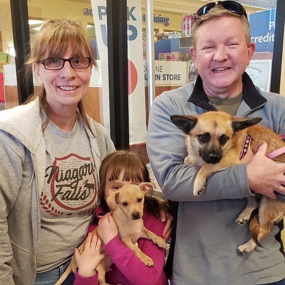 Congratulations to these precious pups for finding their forever homes!

Gianna, Briar, Barnaby, & Cora 

<a target='_blank' href='https://www.instagram.com/explore/tags/orphanannierescue/'>#orphanannierescue</a>