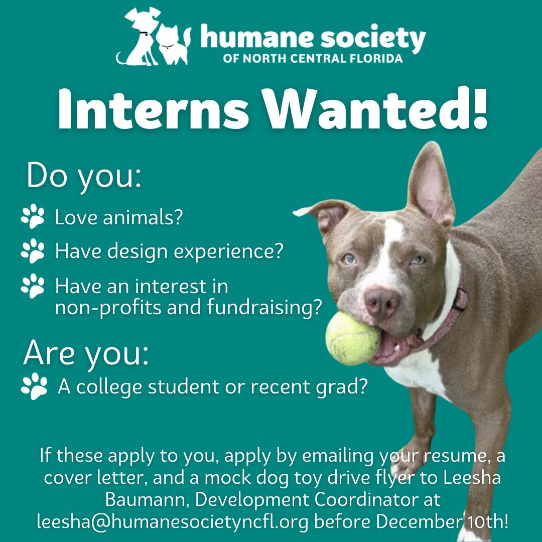 It's that time of year again! Applications for our Fundraising & Communications Internship have opened up! 

We are looking for motivated individuals with a background in design, a love for animals, and an interest in non-profits. If you think that describes yourself, send an application containing your resume, a cover letter, and a mock toy drive flyer to Leesha Baumann, Development Coordinator at leesha@humanesocietyncfl.org by 12/10! We can't wait to work with you!