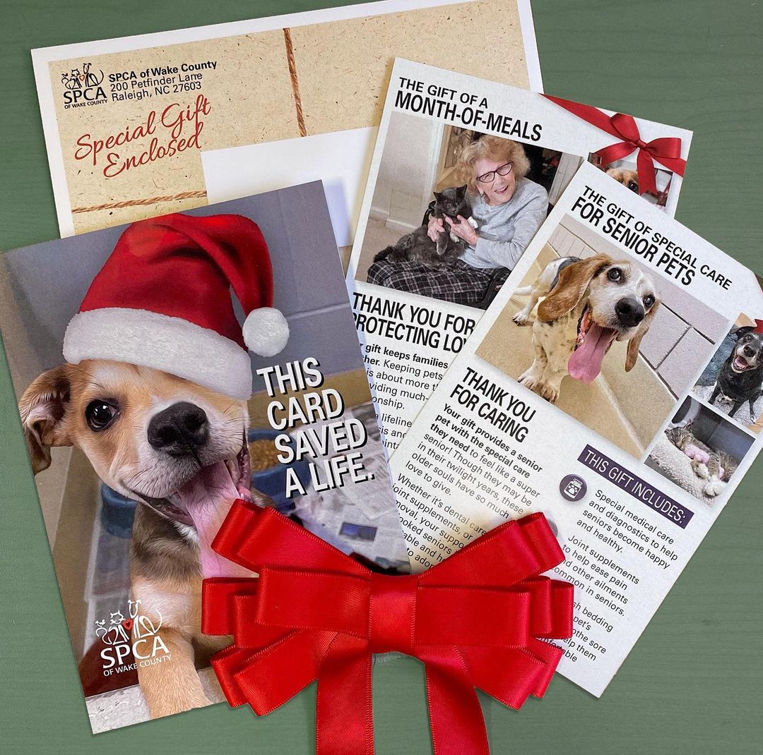 Holiday shopping for a few animal lovers? Don't worry about giving trinkets or doodads — we have the perfect thing to fill their hearts ❤️🐾

This meaningful gift supports shelter pets in our community. Contribute to your choice of 8 critical programs providing help for senior pets, neonatal kittens & puppies, pets needing emergency care, and more.

Each package starts at $25 and includes a special SPCA holiday card & envelope, plus a certificate that explains just how you’ve helped pets in our community. Plus — all orders over $100 also include a special SPCA bracelet! 

Place your order now at spcawake.org/giftguide (or click the link in our bio).

Thank you for making a real difference for local shelter pets, just in time for the holidays ❤️ 

PS - Don't want to deal with shipping and delays? We're also offering local pickup and instant digital downloads for your convenience!

<a target='_blank' href='https://www.instagram.com/explore/tags/spcawake/'>#spcawake</a> <a target='_blank' href='https://www.instagram.com/explore/tags/sociallyconsciousgifts/'>#sociallyconsciousgifts</a> <a target='_blank' href='https://www.instagram.com/explore/tags/charitablegifts/'>#charitablegifts</a> <a target='_blank' href='https://www.instagram.com/explore/tags/raleigh/'>#raleigh</a> <a target='_blank' href='https://www.instagram.com/explore/tags/wakecounty/'>#wakecounty</a> <a target='_blank' href='https://www.instagram.com/explore/tags/animalshelter/'>#animalshelter</a> <a target='_blank' href='https://www.instagram.com/explore/tags/animalrescue/'>#animalrescue</a> <a target='_blank' href='https://www.instagram.com/explore/tags/holidaygiftguide/'>#holidaygiftguide</a> <a target='_blank' href='https://www.instagram.com/explore/tags/animalwelfare/'>#animalwelfare</a> <a target='_blank' href='https://www.instagram.com/explore/tags/spca/'>#spca</a> <a target='_blank' href='https://www.instagram.com/explore/tags/giftsforgood/'>#giftsforgood</a> <a target='_blank' href='https://www.instagram.com/explore/tags/giveback/'>#giveback</a> <a target='_blank' href='https://www.instagram.com/explore/tags/giftsthatgiveback/'>#giftsthatgiveback</a>