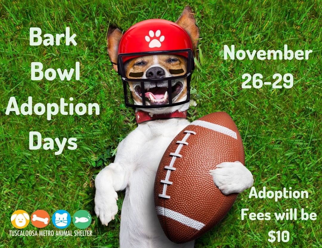 Save the dates !! Next weekend is our Bark Bowl Adoption Days ! $10 Adoption Fees all weekend ( November 26th-29th.) ❤

These reduced adoption fees apply to animals that are currently available during those dates only.