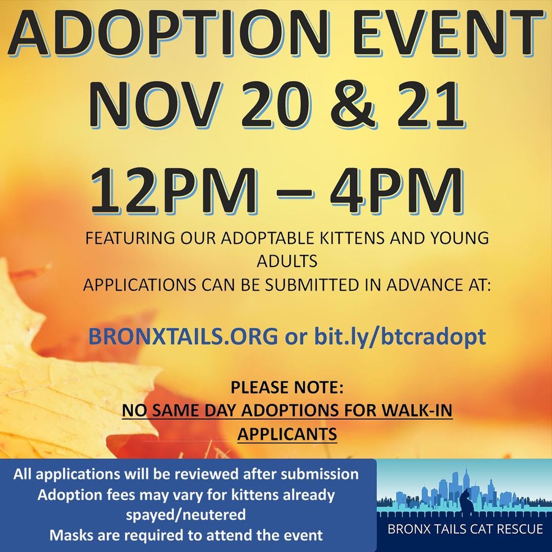 ** KITTEN AND CAT ADOPTION EVENT on SATURDAY and SUNDAY, NOVEMBER 20TH & 21ST! ** Come to our next in-person event featuring our adoptable kittens and young adult cats! Check out a few attendees.
Applications can be submitted in advance at:
👉 bit.ly/btcradopt 👈
WHEN: NOV 20 & 21, 12PM – 4PM 
WHERE: PetSmart in Yonkers Gateway Center at 2458 Central Park Avenue Yonkers, NY 10710 (behind the old
Pier One and other stores)
PLEASE NOTE:  NO SAME DAY ADOPTIONS FOR WALK-IN APPLICANTS. All applications will be reviewed after submission. Adoption fees may vary for kittens already spayed/neutered. Masks are required to attend the event.
PLEASE SHARE!
<a target='_blank' href='https://www.instagram.com/explore/tags/adoptdontshop/'>#adoptdontshop</a> <a target='_blank' href='https://www.instagram.com/explore/tags/rescueismyfavoritebreed/'>#rescueismyfavoritebreed</a> <a target='_blank' href='https://www.instagram.com/explore/tags/kittens/'>#kittens</a> <a target='_blank' href='https://www.instagram.com/explore/tags/kitten/'>#kitten</a> <a target='_blank' href='https://www.instagram.com/explore/tags/cat/'>#cat</a> <a target='_blank' href='https://www.instagram.com/explore/tags/cats/'>#cats</a> <a target='_blank' href='https://www.instagram.com/explore/tags/kittenadoption/'>#kittenadoption</a> <a target='_blank' href='https://www.instagram.com/explore/tags/catadoption/'>#catadoption</a> <a target='_blank' href='https://www.instagram.com/explore/tags/westchester/'>#westchester</a> <a target='_blank' href='https://www.instagram.com/explore/tags/nyc/'>#nyc</a> <a target='_blank' href='https://www.instagram.com/explore/tags/yonkers/'>#yonkers</a>