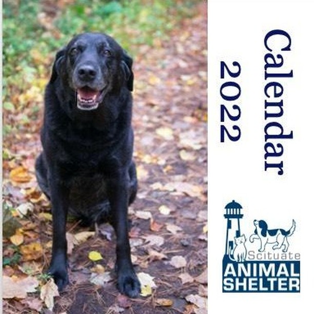 A smile a day next year!
Our beautiful 365-day, tear off, desktop calendar features many familiar faces and is guaranteed to start your day off with a smile. It makes a great holiday gift or stocking stuffer! Every single $49 purchase benefits the dogs, cats, rabbits and humane programs of the Scituate Animal Shelter. To order your 2022 calendar visit: https://scituateanimalshelter.org/calendar-orders
<a target='_blank' href='https://www.instagram.com/explore/tags/adoptdontshop/'>#adoptdontshop</a> <a target='_blank' href='https://www.instagram.com/explore/tags/scituate/'>#scituate</a> <a target='_blank' href='https://www.instagram.com/explore/tags/scituateanimalshelter/'>#scituateanimalshelter</a> <a target='_blank' href='https://www.instagram.com/explore/tags/2022calendar/'>#2022calendar</a> <a target='_blank' href='https://www.instagram.com/explore/tags/rescueanimalsofinstagram/'>#rescueanimalsofinstagram</a> <a target='_blank' href='https://www.instagram.com/explore/tags/rescuecatsofinstagram/'>#rescuecatsofinstagram</a> <a target='_blank' href='https://www.instagram.com/explore/tags/rescuedogsofinstagram/'>#rescuedogsofinstagram</a>