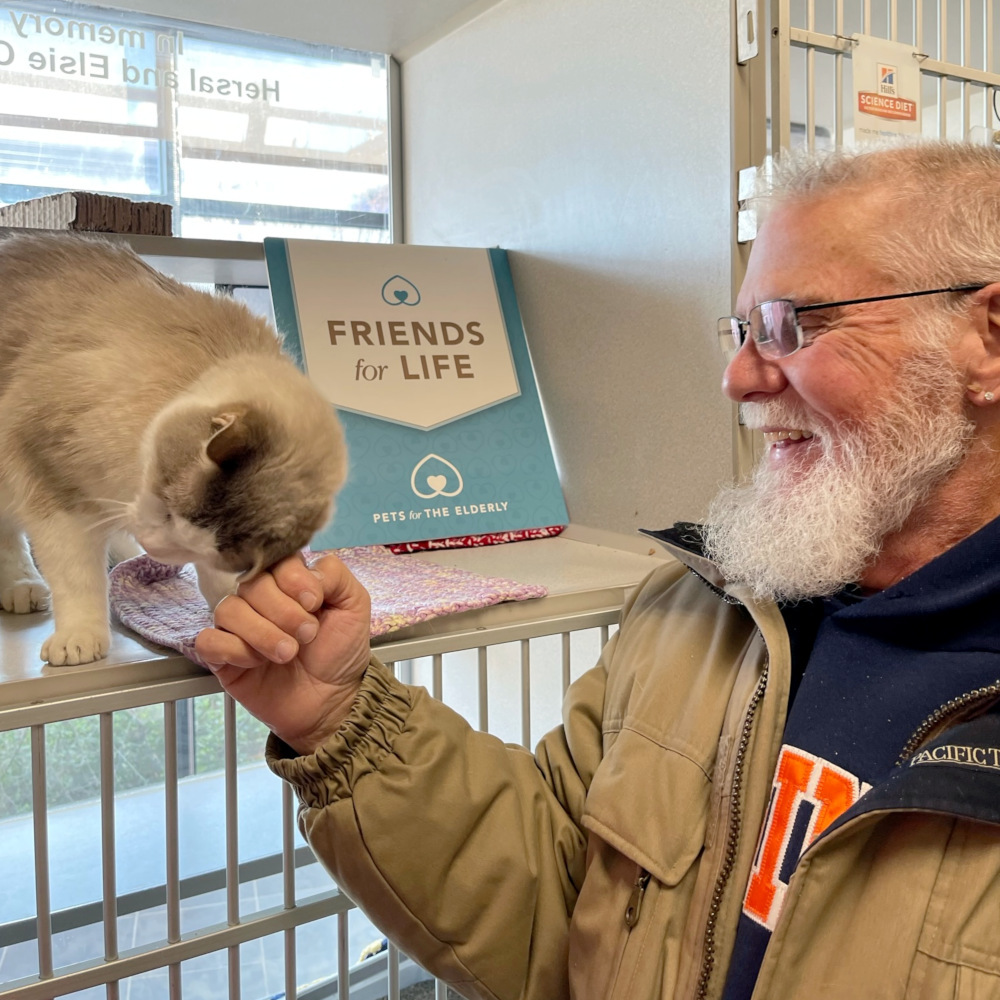 FEEL GOOD FRIDAY: Georg recently had to say goodbye to his 20-year-old cat, who he had adopted from the ARL 5 years ago. He said he has always felt a special connection with senior cats and feels it’s so important to give them a good home for the rest of their life, no matter how long that is. Yesterday, he came to the ARL just to look at some cats and see if he connected with any of them. He arrived with a very long list of cats he saw on our website, all ranging in age from 8 to 15 years old. But once he met the cat at the top of his list – 12-year-old Big Boy – he knew he didn’t need to look any further. Big Boy started purring and rubbing his head all over his hand, and Georg knew then he couldn’t leave without him. 

Besides finding a new friend, Georg received $50 off his adoption fee through our partnership with the Pets for the Elderly Foundation! The PFE program was designed to make pet companionship for seniors ages 60+ more affordable, and is offered at ARL Main and ARL West as funds are available. 

Now Big Boy has a home and George has a new companion! It couldn’t be more purr-fect!

<a target='_blank' href='https://www.instagram.com/explore/tags/welcomehome/'>#welcomehome</a> <a target='_blank' href='https://www.instagram.com/explore/tags/changinglives/'>#changinglives</a> <a target='_blank' href='https://www.instagram.com/explore/tags/petsfortheelderlyfoundation/'>#petsfortheelderlyfoundation</a> <a target='_blank' href='https://www.instagram.com/explore/tags/petsforseniors/'>#petsforseniors</a> <a target='_blank' href='https://www.instagram.com/explore/tags/adoptaseniorpetmonth/'>#adoptaseniorpetmonth</a> <a target='_blank' href='https://www.instagram.com/explore/tags/arliowa/'>#arliowa</a>