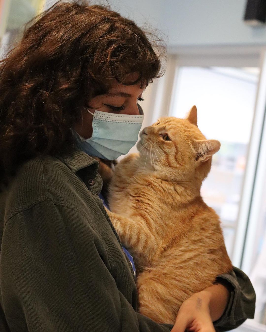 With the saddest eyes, the orangest fur, and cuddliest beans: it’s BOB! 🐯

Someone get this puss some boots and call Dream Works to have Bob star in the live adaptation of Shrek, because he’s seriously the real-life Puss and Boots!

This funny little man is quick witted, fast on his feet, and smooth with the ladies. Bob has FIV, but don’t let that turn you away! Bob still has plenty of life to live as long as he is an only cat or can live with other FIV+ cats. 

Stop by his cat condo in Pet Helpers’ Rainbow Row from 12-6 this week to meet Bob: the real Puss in Boots 🐯👢🗡

.
.
.
.
.
<a target='_blank' href='https://www.instagram.com/explore/tags/pussinboots/'>#pussinboots</a> <a target='_blank' href='https://www.instagram.com/explore/tags/shrek/'>#shrek</a> <a target='_blank' href='https://www.instagram.com/explore/tags/shrek2/'>#shrek2</a> 
<a target='_blank' href='https://www.instagram.com/explore/tags/shrekislove/'>#shrekislove</a> <a target='_blank' href='https://www.instagram.com/explore/tags/shrekmemes/'>#shrekmemes</a> <a target='_blank' href='https://www.instagram.com/explore/tags/adopt/'>#adopt</a> <a target='_blank' href='https://www.instagram.com/explore/tags/gingercat/'>#gingercat</a> <a target='_blank' href='https://www.instagram.com/explore/tags/fiv/'>#fiv</a> <a target='_blank' href='https://www.instagram.com/explore/tags/fivcatsofinstagram/'>#fivcatsofinstagram</a> <a target='_blank' href='https://www.instagram.com/explore/tags/catstagram/'>#catstagram</a> <a target='_blank' href='https://www.instagram.com/explore/tags/catsofinstagram/'>#catsofinstagram</a> <a target='_blank' href='https://www.instagram.com/explore/tags/sheltercat/'>#sheltercat</a> <a target='_blank' href='https://www.instagram.com/explore/tags/adoptdontshop/'>#adoptdontshop</a> <a target='_blank' href='https://www.instagram.com/explore/tags/charleston/'>#charleston</a> <a target='_blank' href='https://www.instagram.com/explore/tags/rainbowrow/'>#rainbowrow</a> <a target='_blank' href='https://www.instagram.com/explore/tags/lowcountry/'>#lowcountry</a> <a target='_blank' href='https://www.instagram.com/explore/tags/rescue/'>#rescue</a> <a target='_blank' href='https://www.instagram.com/explore/tags/rescuecat/'>#rescuecat</a> <a target='_blank' href='https://www.instagram.com/explore/tags/rescuecatsofinstagram/'>#rescuecatsofinstagram</a> <a target='_blank' href='https://www.instagram.com/explore/tags/adoptme/'>#adoptme</a> <a target='_blank' href='https://www.instagram.com/explore/tags/pethelpers/'>#pethelpers</a> <a target='_blank' href='https://www.instagram.com/explore/tags/adoptable/'>#adoptable</a>