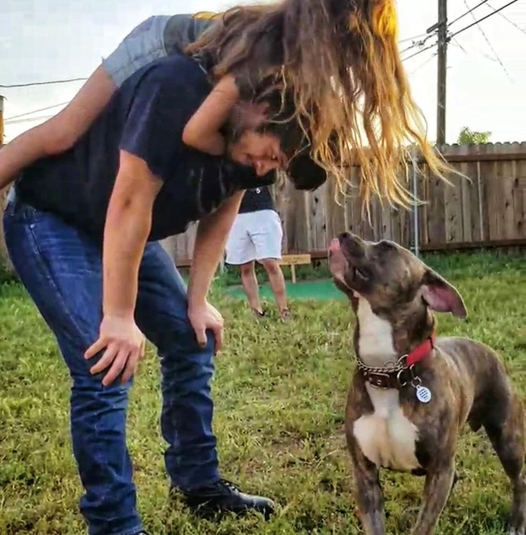 UPDATE!!! Django (formerly Kenny) was one of the first dogs I rescued when the pandemic first started, in April 2020.  SWIPE  for his fairy tale! ❤️

I don’t say this a lot but this guy, if timing was right, I definitely would have kept as my own. What a special soul and that brindle coloring. Swoon. Django doesn’t have a mean bone in his body. ❤️

Please head to the shelter. Your new family member is waiting for you. ✔️

I just want you to see what your donations help me do. Today is $5 Friday and if you’d like to contribute towards our rescue efforts, please click on the link in the bio. Every dollar helps 

Thank you to his amazing family who gives him the best life. He even has a new rescue sister that he adores.

Happy Life DJango. Your life changed in an instant and we’re so happy we decided on you.

 @heathenchic @shelterdogs4life @desidesi134 @fur_pet_sake