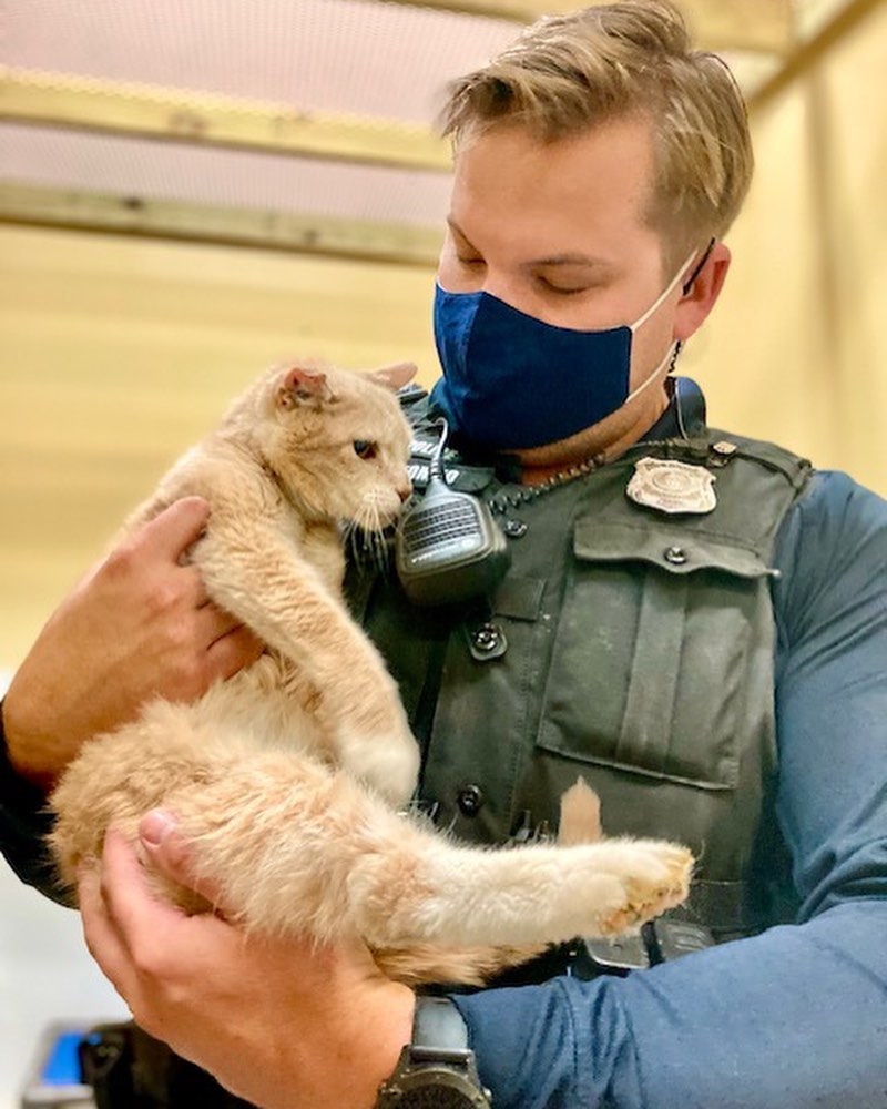 Time for another Norfolks <a target='_blank' href='https://www.instagram.com/explore/tags/finestandfurriest/'>#finestandfurriest</a> with the @norfolkpd ! The animals are always so thrilled to hang out with some new faces while they wait for their adoption day. Thanks to all of the Officers and Corporal for coming to spend time with our animals. Interested in coming by to view the adoptable animals also? Pop over to our website where you can make an appointment during the week, or on weekends no appointments needed. All of our adoptable animals can also be viewed online! www.norfolk.gov/NACC 

Picture 1: Officer Tako & Happy the senior cat. 
Picture 2: Officers Tako & Martin with 2 adopted kittens. 
Picture 3: Officer Martin with Boss the hamster. 
Picture 4: Officer Taylor & Moth Man. 
Picture 5: Officer Irizarry & Lola (adopted)
Picture 6: Officer Tako & CJ (transferred to another rescue)
Picture 7: Officer Irizarry & Rebound (adopted)
Picture 8: Corporal Valdez & Watson (adopted)
Picture 9: Officer Martin & Teddy (adopted)
Picture 10: Officers Tako & Martin with Jackalope. 

<a target='_blank' href='https://www.instagram.com/explore/tags/adoptnacc/'>#adoptnacc</a> <a target='_blank' href='https://www.instagram.com/explore/tags/fosternacc/'>#fosternacc</a> 
☎️ 757-441-5505
📧 nacc@norfolk.gov
📍 5585 Sabre Road Norfolk, Virginia 23502