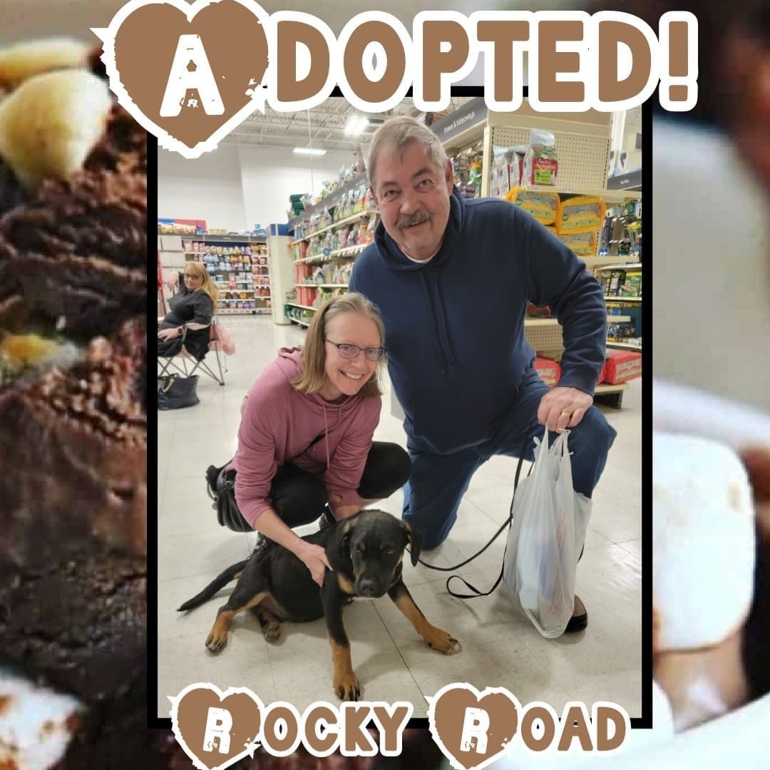 🥰HAPPY TAILS!🥰 We had SIX adoptions today @normanpetsmart 🥳🥳 Go live the good life, sweet babies! 🐶🐱🐾
<a target='_blank' href='https://www.instagram.com/explore/tags/rescue/'>#rescue</a> <a target='_blank' href='https://www.instagram.com/explore/tags/dontshopadopt/'>#dontshopadopt</a> <a target='_blank' href='https://www.instagram.com/explore/tags/mixedbreedpurelove/'>#mixedbreedpurelove</a> <a target='_blank' href='https://www.instagram.com/explore/tags/foster/'>#foster</a> <a target='_blank' href='https://www.instagram.com/explore/tags/fosteringsaveslives/'>#fosteringsaveslives</a> <a target='_blank' href='https://www.instagram.com/explore/tags/volunteer/'>#volunteer</a> <a target='_blank' href='https://www.instagram.com/explore/tags/bethechange/'>#bethechange</a> <a target='_blank' href='https://www.instagram.com/explore/tags/onebyoneuntiltherearenone/'>#onebyoneuntiltherearenone</a> 
🧡 shelterfriends.org 🧡