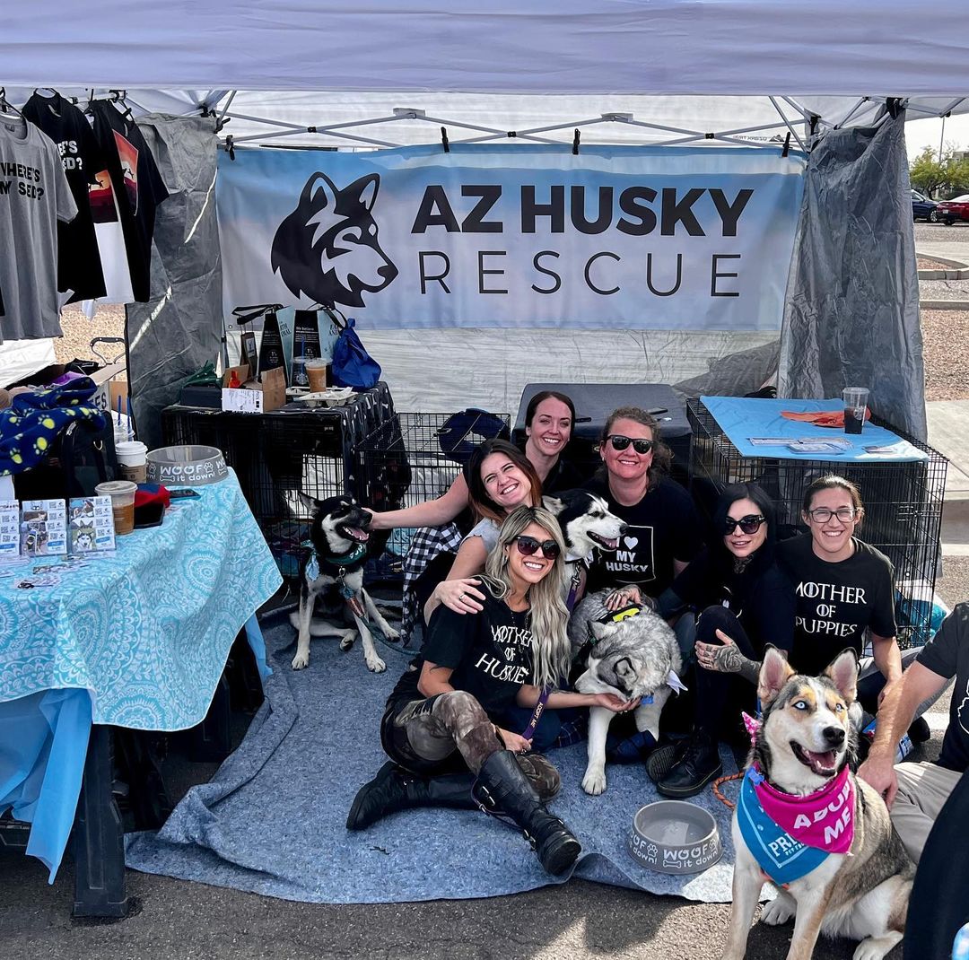 We had such a great time on the first day of @thedayofthedog Scottsdale yesterday! We are here again today and would love to see you!! Come meet Liara (formerly Caroline), Steele (saved from the e-list this week!!!), Moe, Nala, Monty and Nixmo!