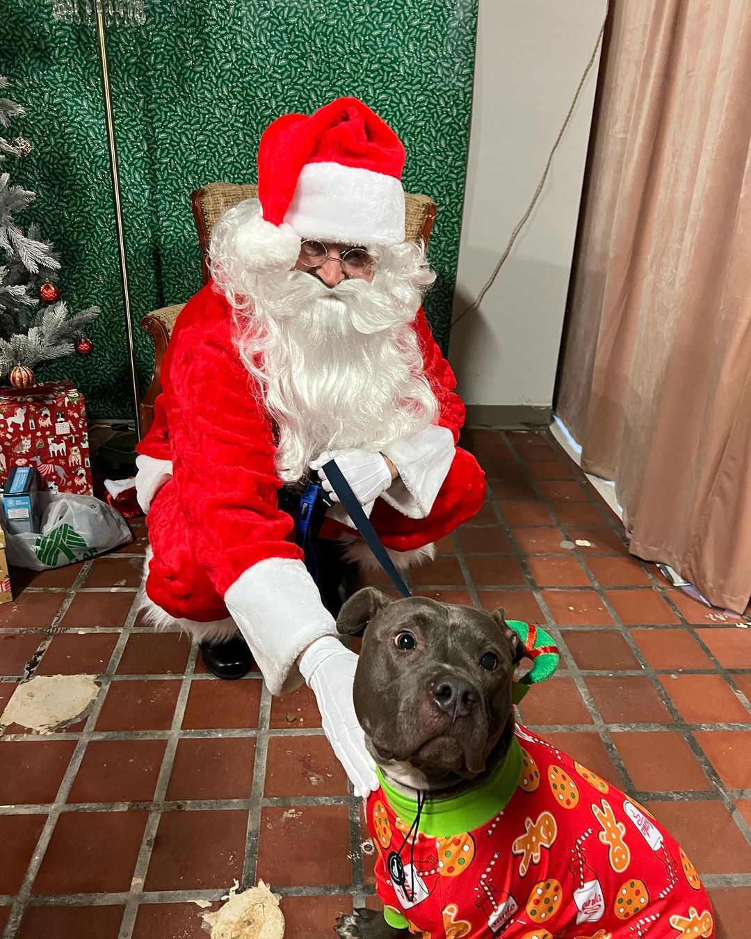 A huge thank you to everyone who came out to our PITures with Santa event on Thursday! We loved seeing all these amazing pups and kitties! <a target='_blank' href='https://www.instagram.com/explore/tags/applevalleypitcrew/'>#applevalleypitcrew</a>🐶🍎 <a target='_blank' href='https://www.instagram.com/explore/tags/AVPC/'>#AVPC</a> <a target='_blank' href='https://www.instagram.com/explore/tags/PitCrew/'>#PitCrew</a> <a target='_blank' href='https://www.instagram.com/explore/tags/pitbullsofinstagram/'>#pitbullsofinstagram</a> <a target='_blank' href='https://www.instagram.com/explore/tags/RescueandRedemption/'>#RescueandRedemption</a> <a target='_blank' href='https://www.instagram.com/explore/tags/adoptdontshop/'>#adoptdontshop</a> <a target='_blank' href='https://www.instagram.com/explore/tags/pitbullove/'>#pitbullove</a> <a target='_blank' href='https://www.instagram.com/explore/tags/pitbull/'>#pitbull</a> <a target='_blank' href='https://www.instagram.com/explore/tags/spreadtherumer/'>#spreadtherumer</a> <a target='_blank' href='https://www.instagram.com/explore/tags/rescueismyfavoritebreed/'>#rescueismyfavoritebreed</a> <a target='_blank' href='https://www.instagram.com/explore/tags/dontbullymybreed/'>#dontbullymybreed</a> <a target='_blank' href='https://www.instagram.com/explore/tags/thecrew/'>#thecrew</a>