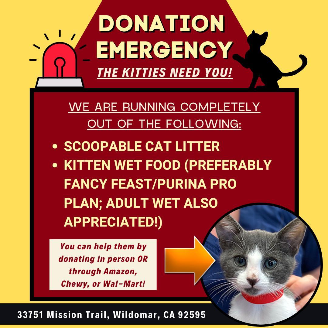 Our kitties need your help! We are reaching out to you to ask for donations of cat litter (scoopable) and kitten wet food (preferably Fancy Feast or Purina Pro Plan; adult wet also appreciated!) If you can’t help them in person, you can always order through Amazon, Chewy, or Wal-Mart and deliver it to us! LINK IS IN BIO for our wish lists. You can order through Wal-Mart by simply changing the delivery address to 33751 Mission Trail, Wildomar, CA 92595. Thank you!