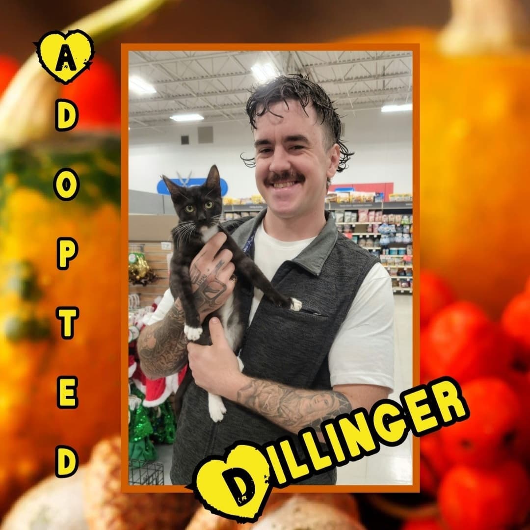 🥰HAPPY TAILS!🥰 We had SIX adoptions today @normanpetsmart 🥳🥳 Go live the good life, sweet babies! 🐶🐱🐾
<a target='_blank' href='https://www.instagram.com/explore/tags/rescue/'>#rescue</a> <a target='_blank' href='https://www.instagram.com/explore/tags/dontshopadopt/'>#dontshopadopt</a> <a target='_blank' href='https://www.instagram.com/explore/tags/mixedbreedpurelove/'>#mixedbreedpurelove</a> <a target='_blank' href='https://www.instagram.com/explore/tags/foster/'>#foster</a> <a target='_blank' href='https://www.instagram.com/explore/tags/fosteringsaveslives/'>#fosteringsaveslives</a> <a target='_blank' href='https://www.instagram.com/explore/tags/volunteer/'>#volunteer</a> <a target='_blank' href='https://www.instagram.com/explore/tags/bethechange/'>#bethechange</a> <a target='_blank' href='https://www.instagram.com/explore/tags/onebyoneuntiltherearenone/'>#onebyoneuntiltherearenone</a> 
🧡 shelterfriends.org 🧡