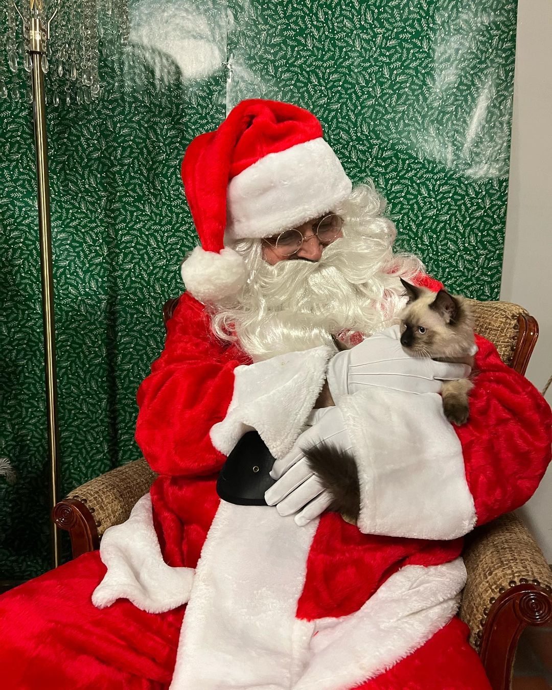 A huge thank you to everyone who came out to our PITures with Santa event on Thursday! We loved seeing all these amazing pups and kitties! <a target='_blank' href='https://www.instagram.com/explore/tags/applevalleypitcrew/'>#applevalleypitcrew</a>🐶🍎 <a target='_blank' href='https://www.instagram.com/explore/tags/AVPC/'>#AVPC</a> <a target='_blank' href='https://www.instagram.com/explore/tags/PitCrew/'>#PitCrew</a> <a target='_blank' href='https://www.instagram.com/explore/tags/pitbullsofinstagram/'>#pitbullsofinstagram</a> <a target='_blank' href='https://www.instagram.com/explore/tags/RescueandRedemption/'>#RescueandRedemption</a> <a target='_blank' href='https://www.instagram.com/explore/tags/adoptdontshop/'>#adoptdontshop</a> <a target='_blank' href='https://www.instagram.com/explore/tags/pitbullove/'>#pitbullove</a> <a target='_blank' href='https://www.instagram.com/explore/tags/pitbull/'>#pitbull</a> <a target='_blank' href='https://www.instagram.com/explore/tags/spreadtherumer/'>#spreadtherumer</a> <a target='_blank' href='https://www.instagram.com/explore/tags/rescueismyfavoritebreed/'>#rescueismyfavoritebreed</a> <a target='_blank' href='https://www.instagram.com/explore/tags/dontbullymybreed/'>#dontbullymybreed</a> <a target='_blank' href='https://www.instagram.com/explore/tags/thecrew/'>#thecrew</a>