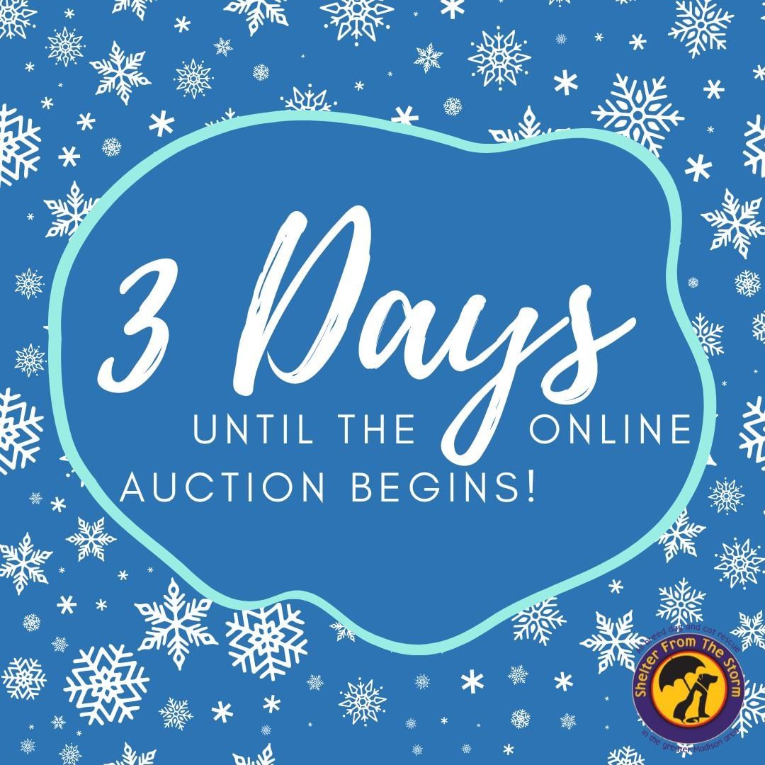 Are you ready? Our Jingle Paws Festival Online Auction is only 3 days away! Items will be posted throughout the day  on Tuesday and bidding will be available until December 1st. We always have a variety of items for you, your friends, and cats and dogs!