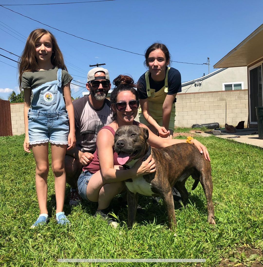 UPDATE!!! Django (formerly Kenny) was one of the first dogs I rescued when the pandemic first started, in April 2020.  SWIPE  for his fairy tale! ❤️

I don’t say this a lot but this guy, if timing was right, I definitely would have kept as my own. What a special soul and that brindle coloring. Swoon. Django doesn’t have a mean bone in his body. ❤️

Please head to the shelter. Your new family member is waiting for you. ✔️

I just want you to see what your donations help me do. Today is $5 Friday and if you’d like to contribute towards our rescue efforts, please click on the link in the bio. Every dollar helps 

Thank you to his amazing family who gives him the best life. He even has a new rescue sister that he adores.

Happy Life DJango. Your life changed in an instant and we’re so happy we decided on you.

 @heathenchic @shelterdogs4life @desidesi134 @fur_pet_sake